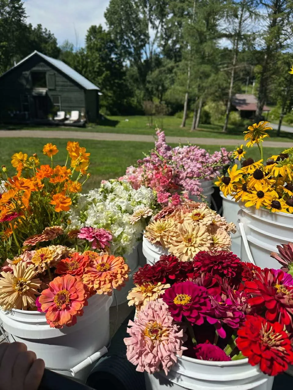 Looking West after a midsummer harvest.