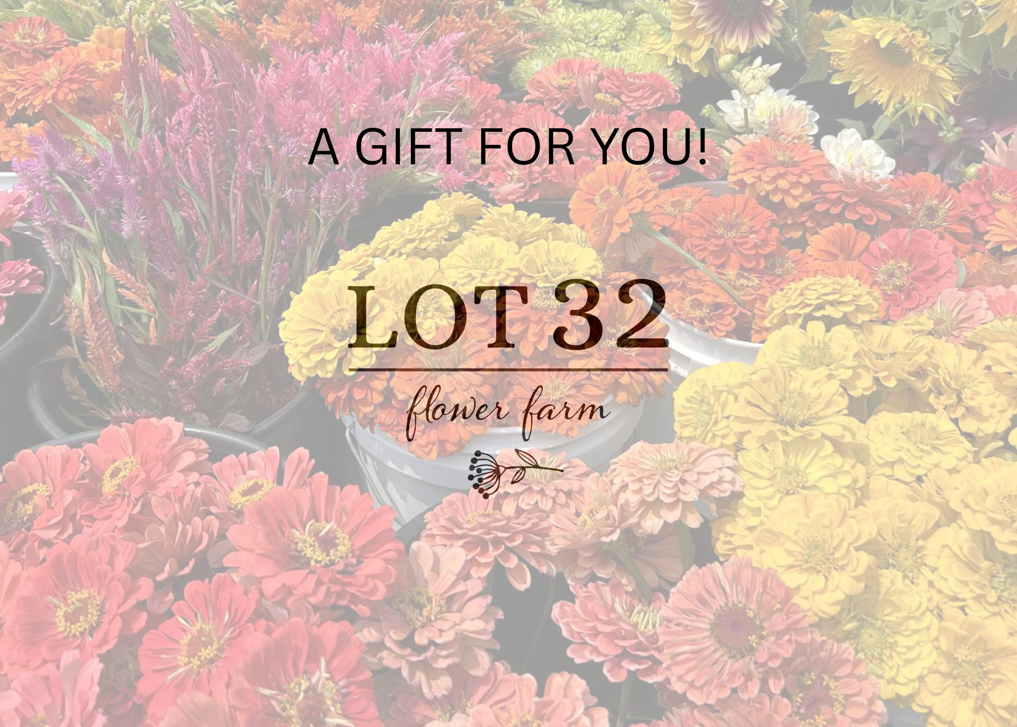 Gift Certificate for LOT 32