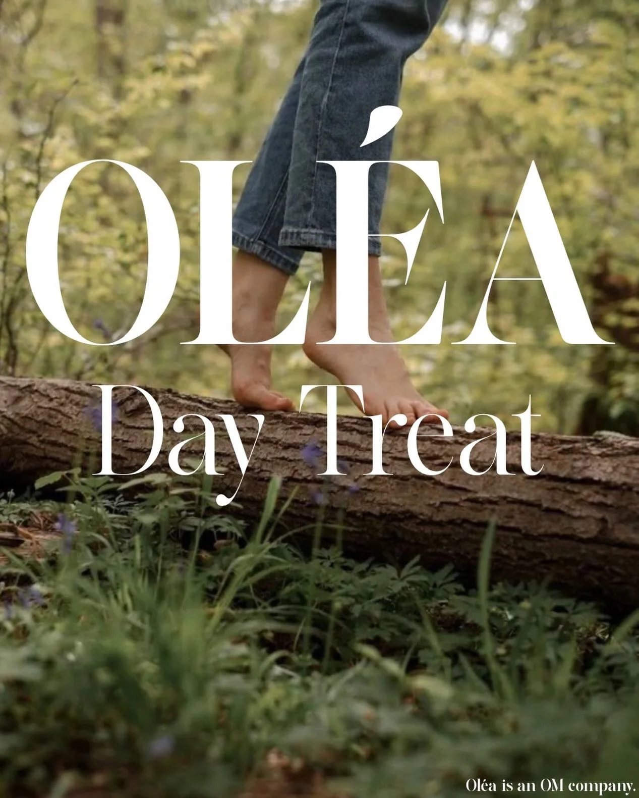 On February 26th, OM is joining Ol&eacute;a to host a Full-Day Retreat with CEU Credits, created for workers&rsquo; compensation professionals.

If you love being in nature, want to take time for yourself, and still need CEU credits, this retreat was