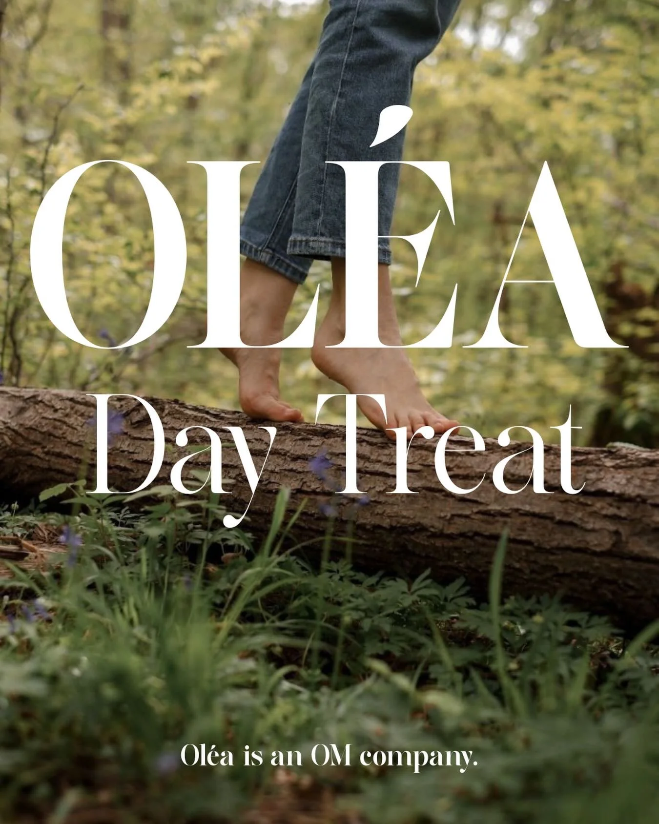 Earn CE Credits at One of Our Best Events Yet

Join us for a full-day experience created for workers&rsquo; compensation professionals. The day includes CEU credits for adjusters and case managers who need credits, along with great food and a wellnes