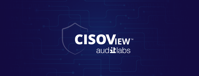 IT Audit Labs —|  CISOView Form Header | 
Header design for a branded IT Audit Labs form experience. Used subtle circuit-board patterning, layered depth, and a restrained color palette to reinforce the product's credibility and keep the focus on the 