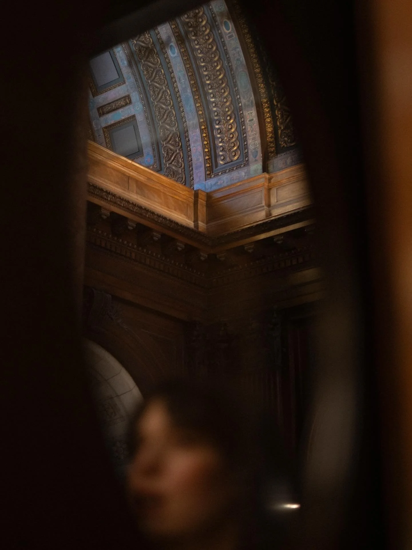 Study Sessions and Art Observations

@publiclibrarynyc 
#photography #candid #newyorkcity
