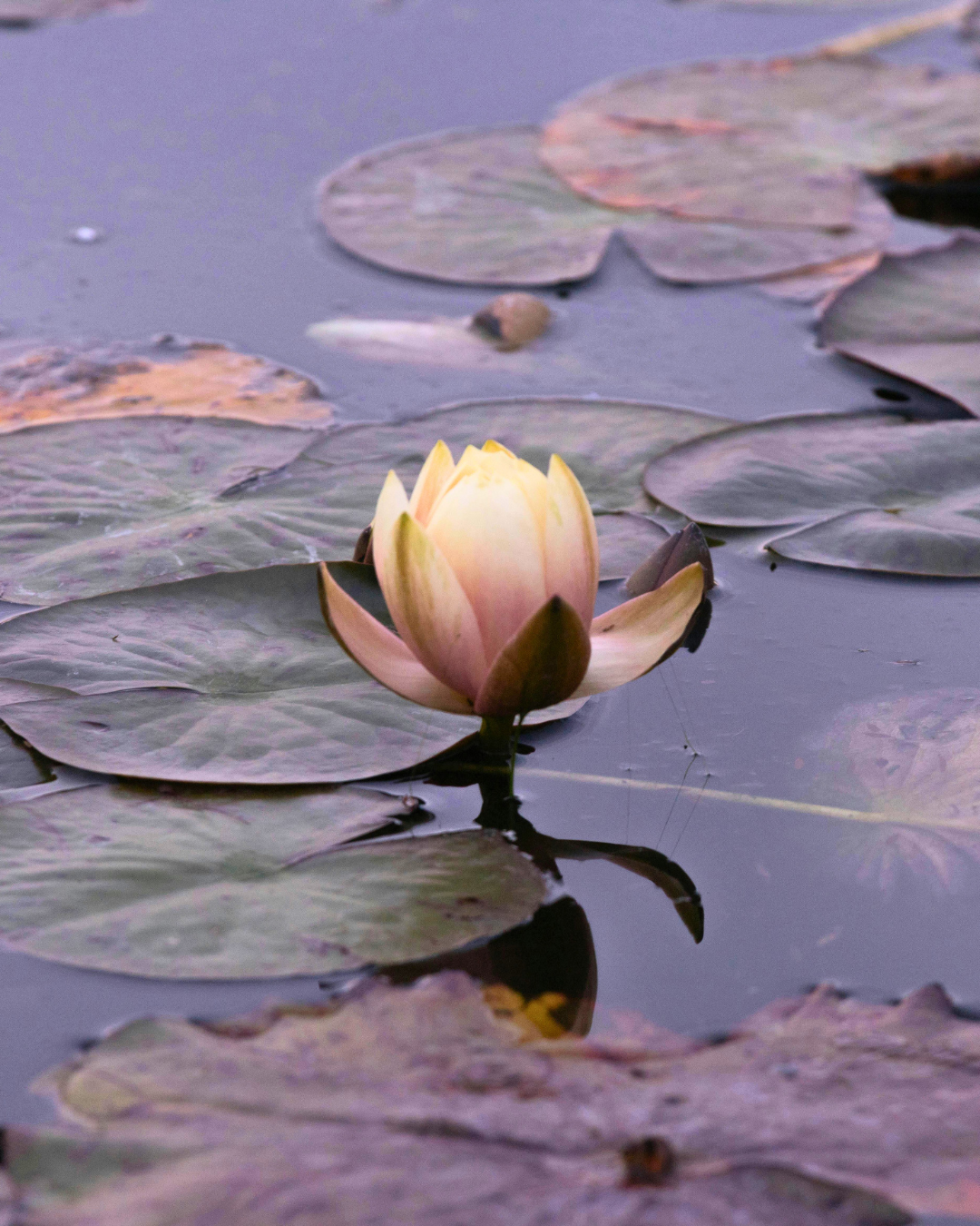 Moving Forward with Clarity and Faith
