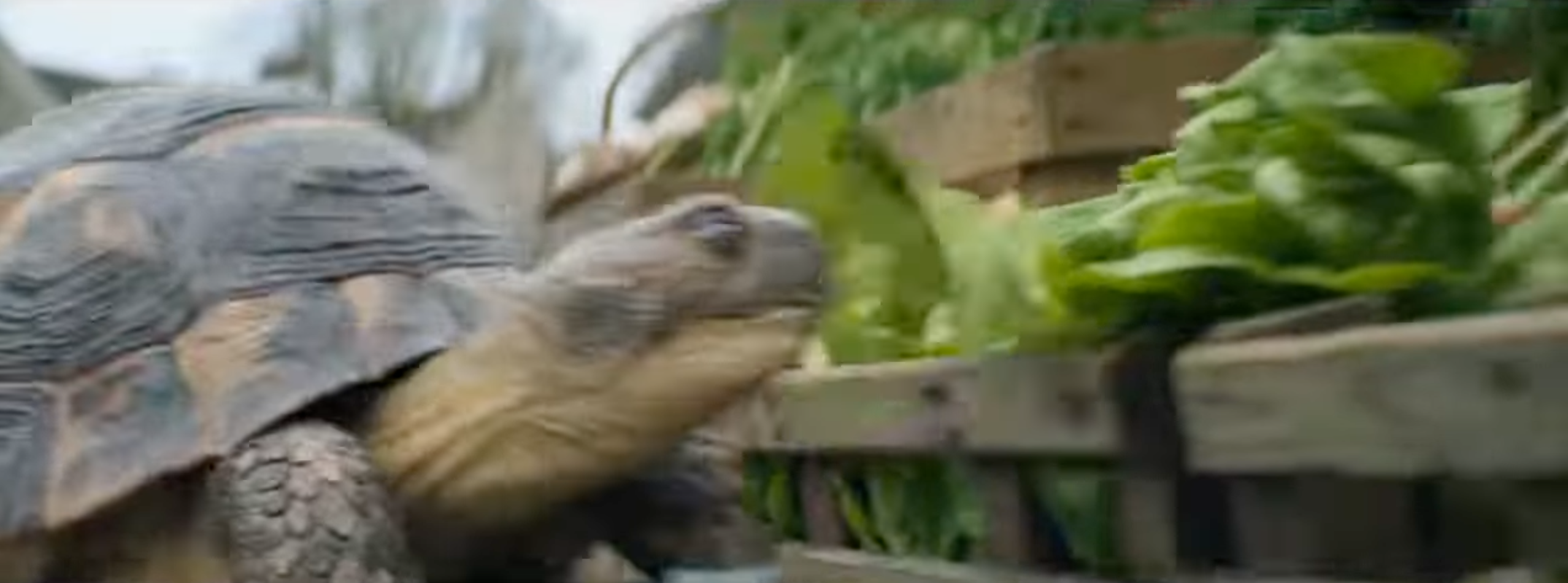 Screenshot 2026-01-09 at 13.33.21.png