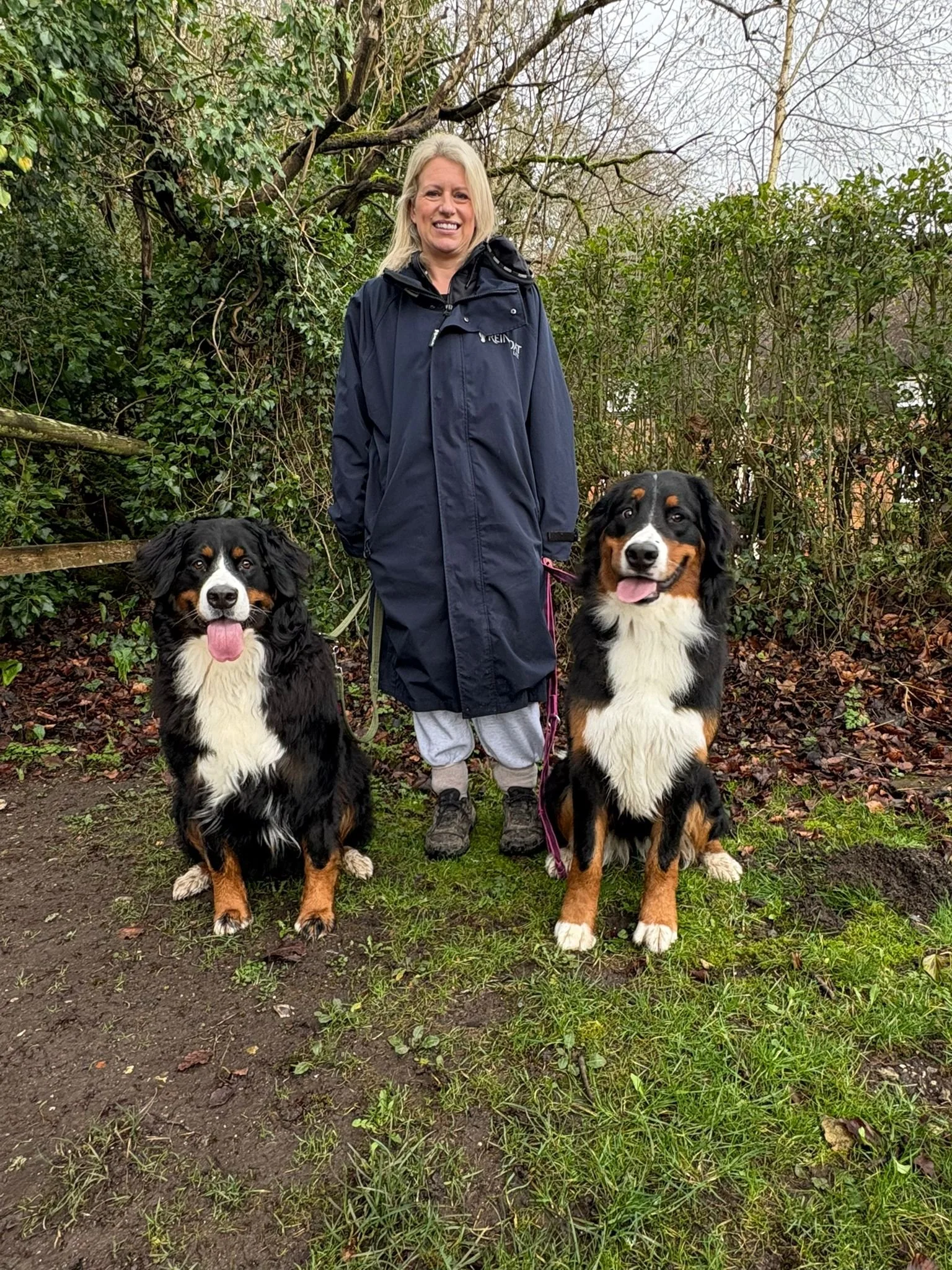 A woman standing outdoors on a grassy and muddy area, flanked by two Bernese Mountain Dogs. The woman is wearing a long navy blue raincoat, gray pants, and black shoes, and is smiling. The dogs are sitting and looking at the camera, with their tongues out.