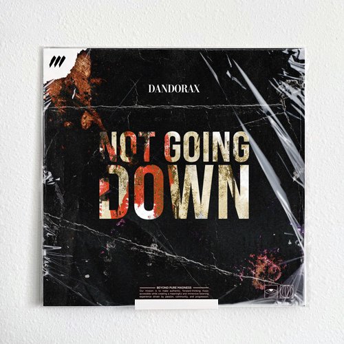Dandorax---Not-Going-Down-(Webshop).jpg