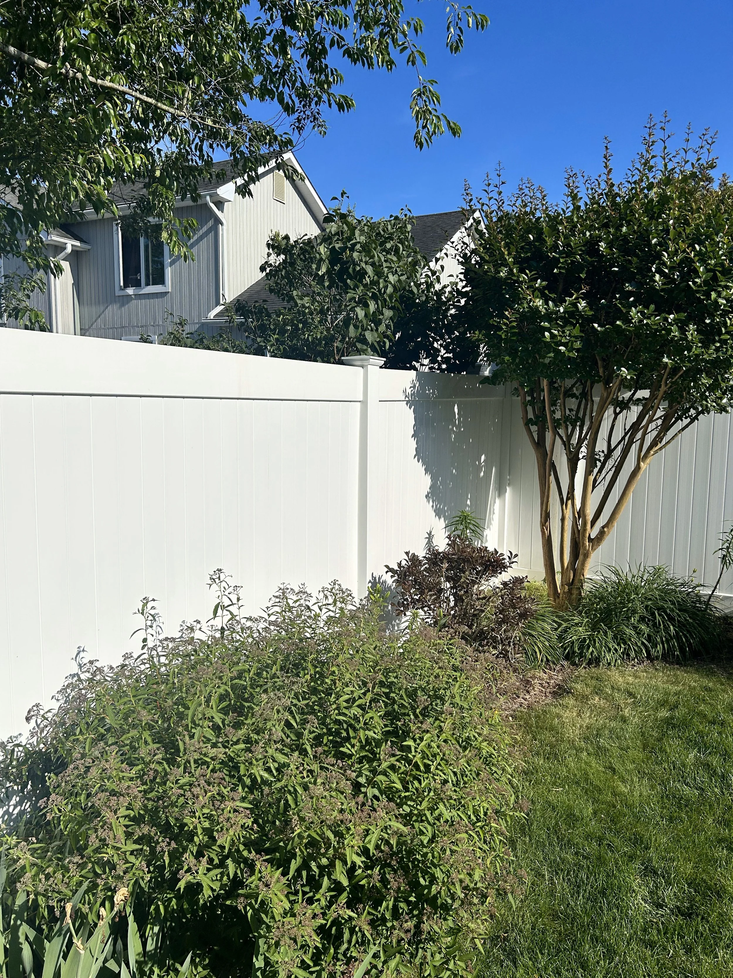 fence after.jpeg