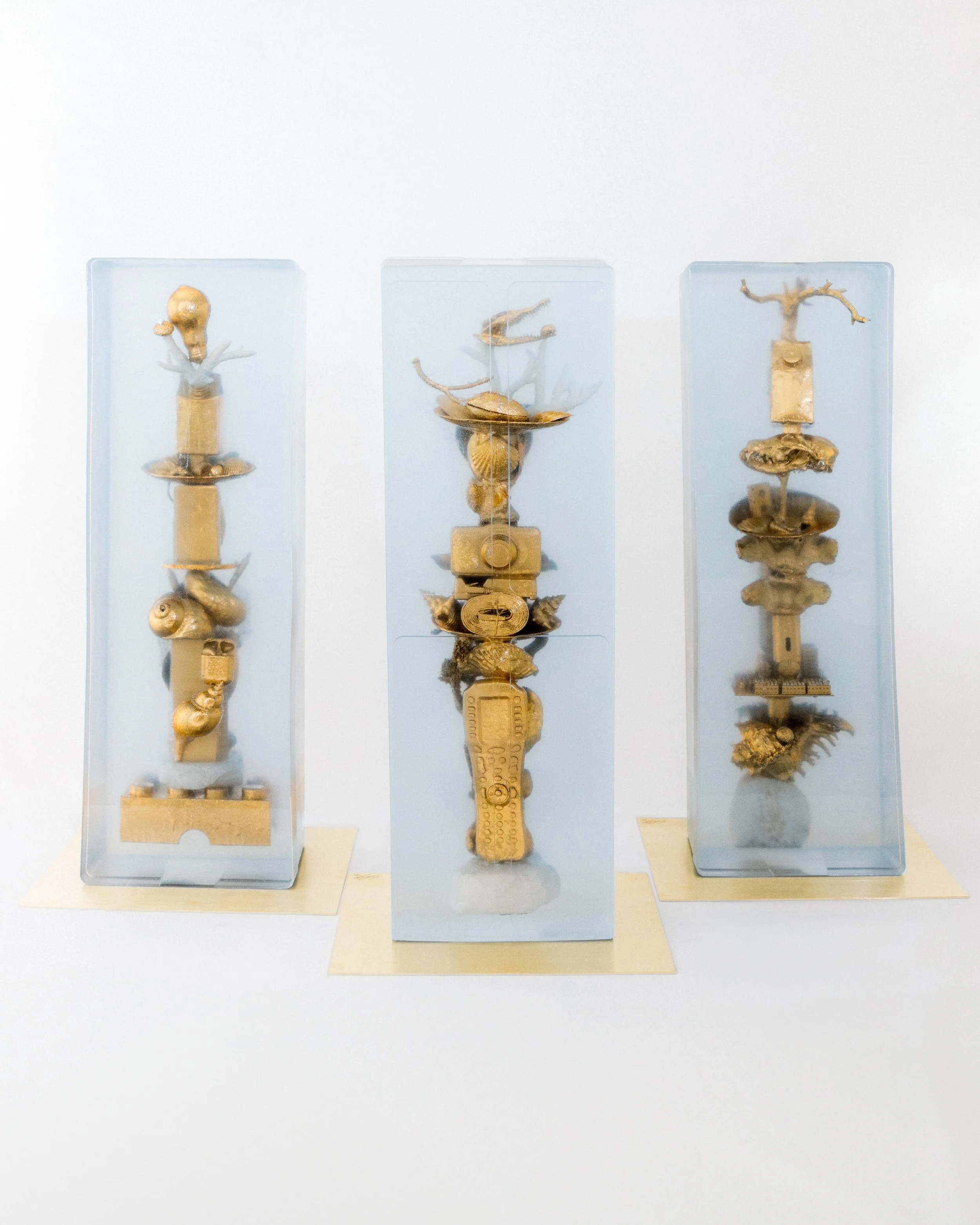 Soledad Lowe -Front Humanitas.jpg