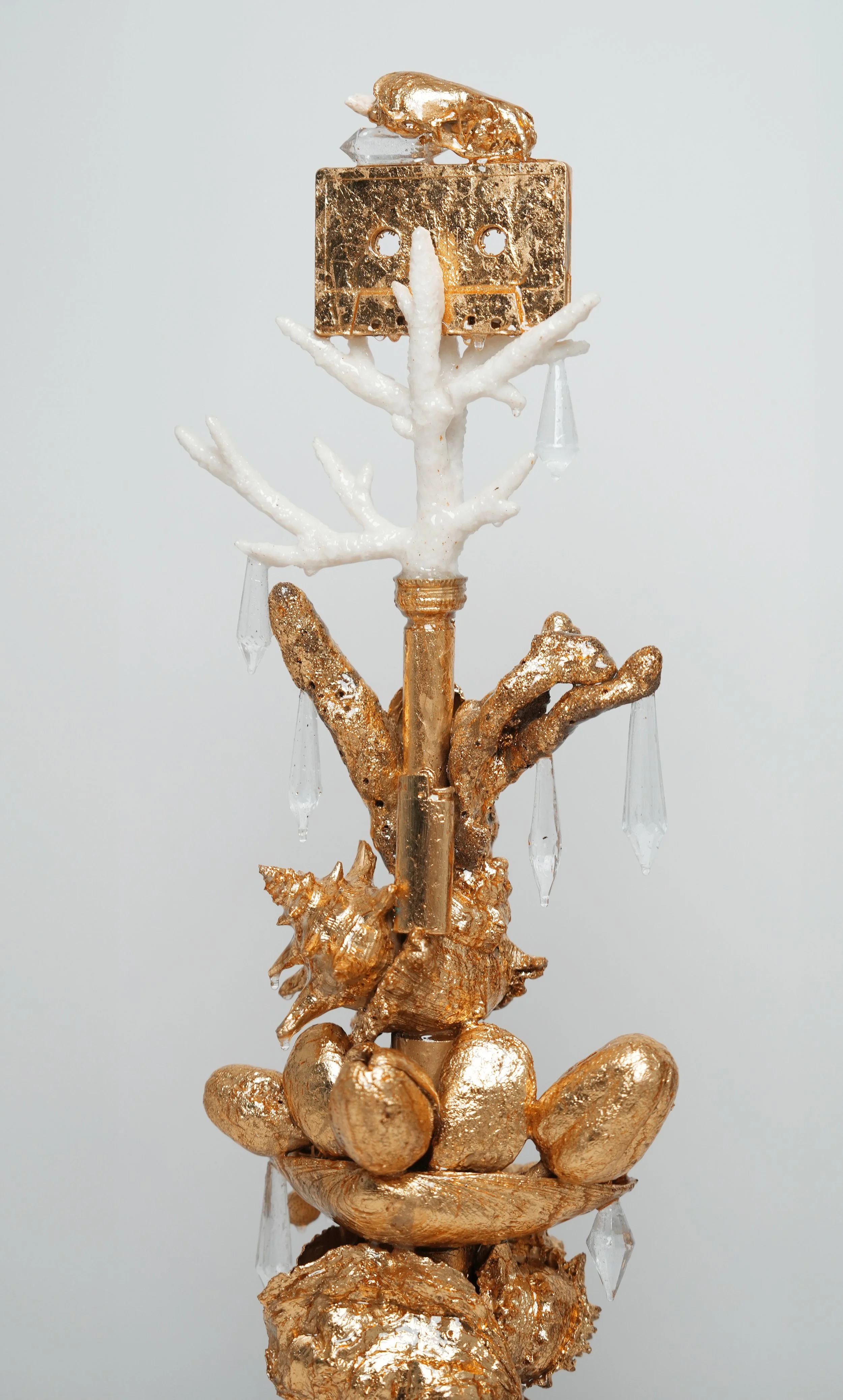 Soledad Lowe top.jpg