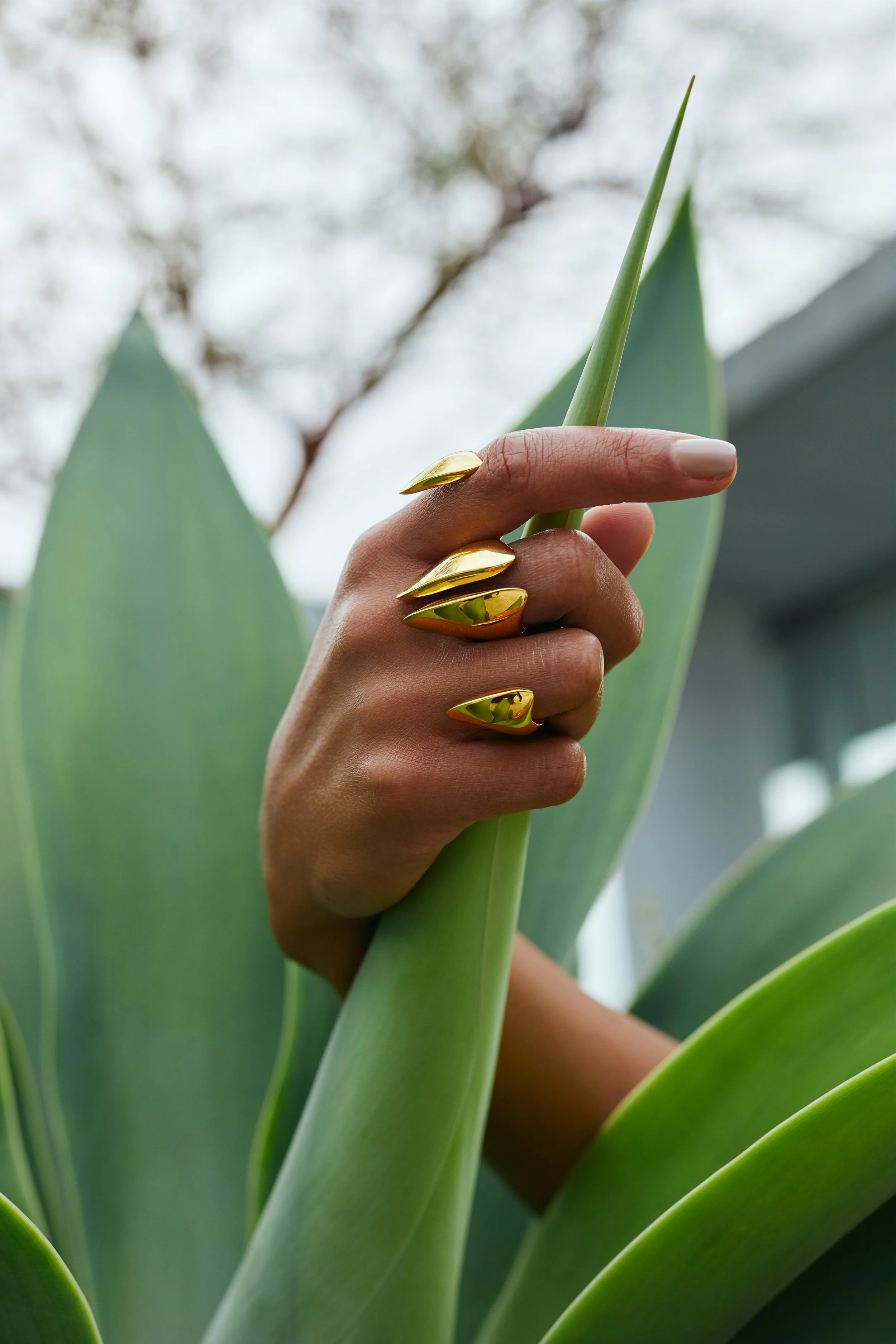Close-up of a hand with gold metallic nail polish, holding a long green leaf of a tropical plant, with large leaves in the background.