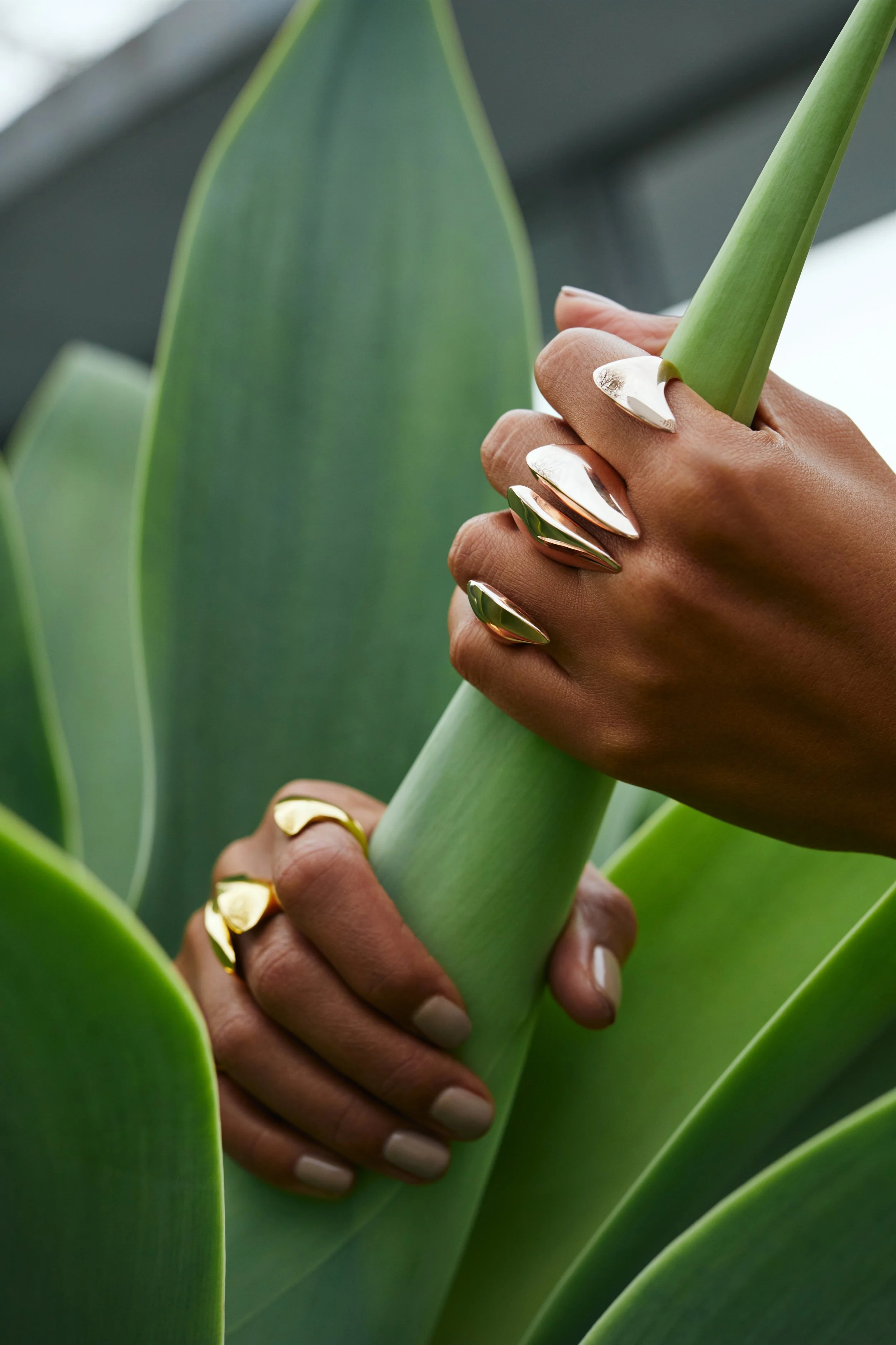 Close-up of a hand with gold and silver jewelry holding a green plant stem amidst large green leaves.