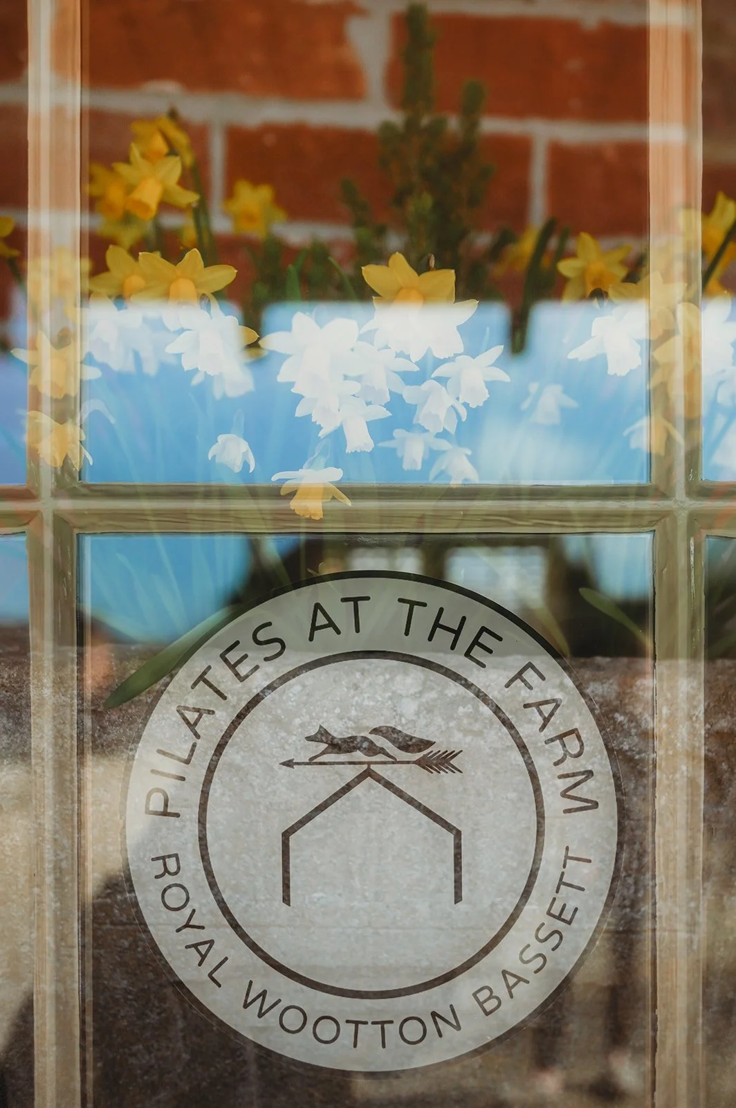 Pilates at the Farm logo on a window in front of yellow flowers