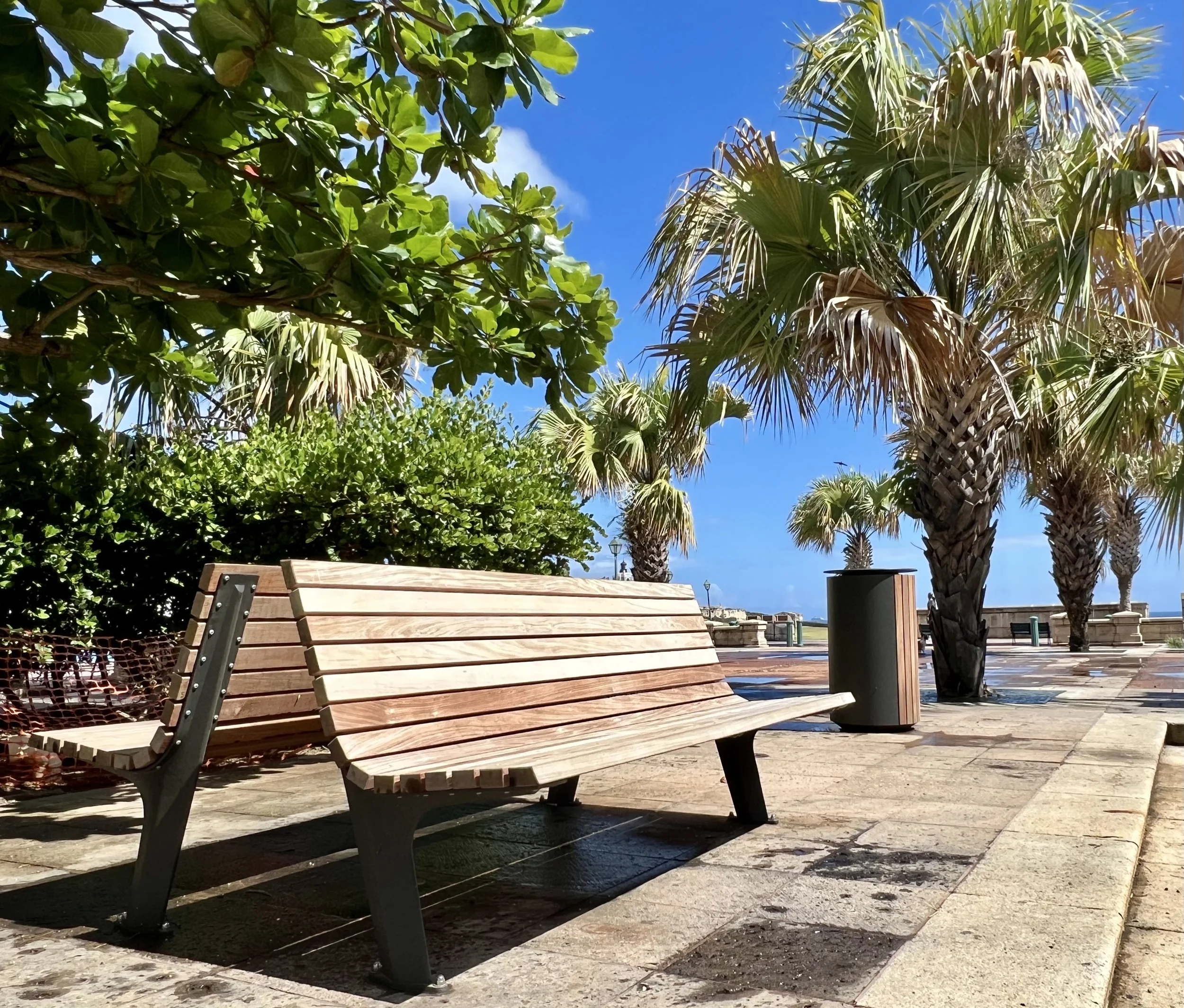 Empty wooden park bench with gray metal legs under green trees and palm trees, with a blue sky and some clouds in the background.