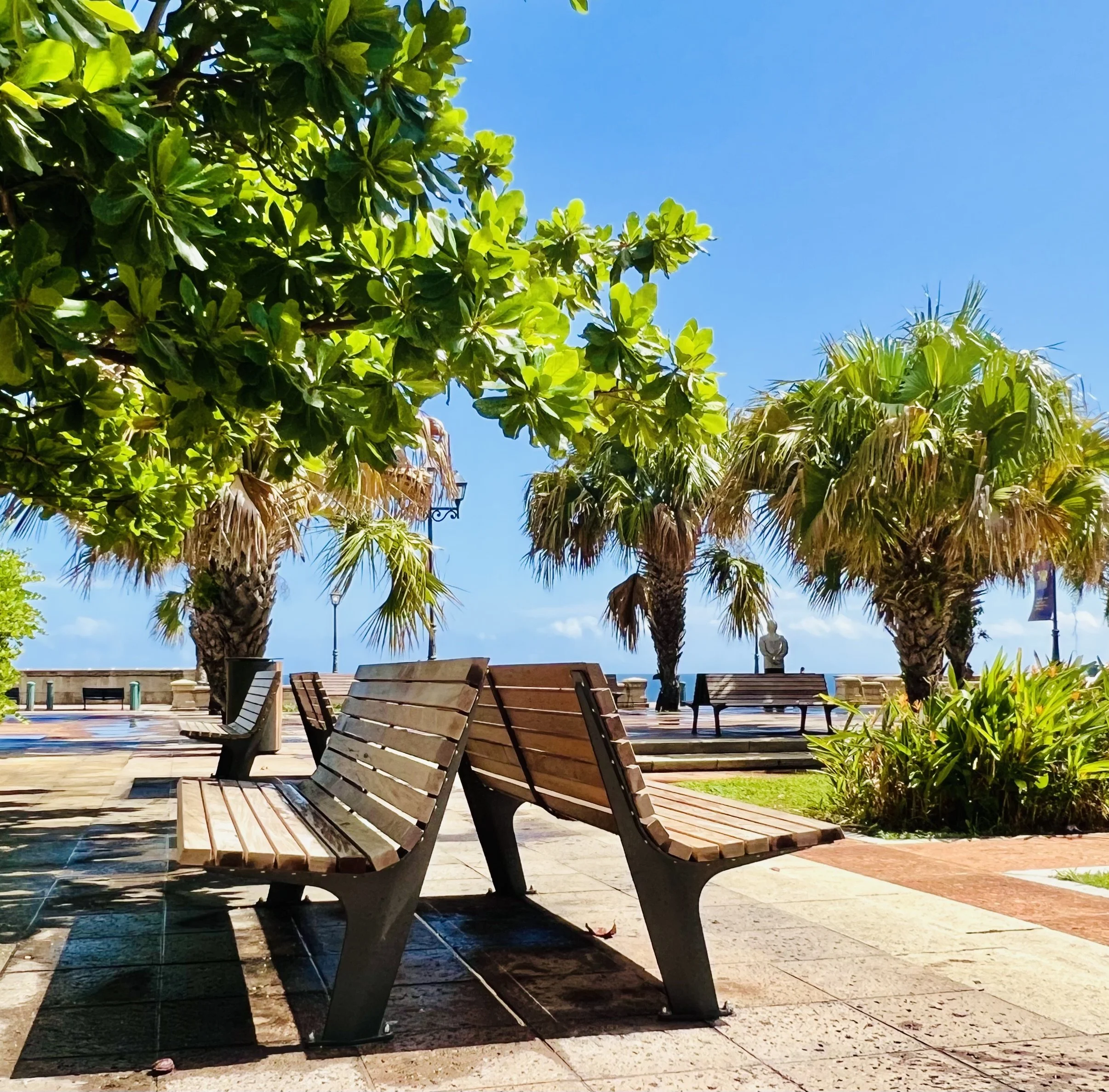 View of a park area with wooden benches, surrounded by tall palm trees and lush green foliage under a clear blue sky.