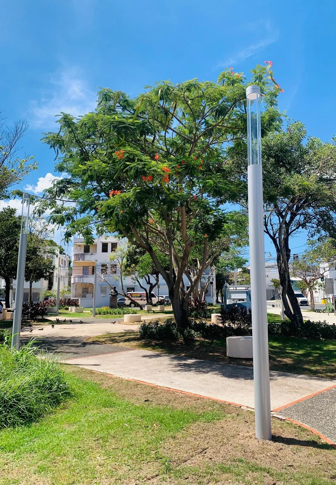 A park with a tree in the center, surrounded by grass, walkways, and modern apartment buildings in the background under a clear blue sky.