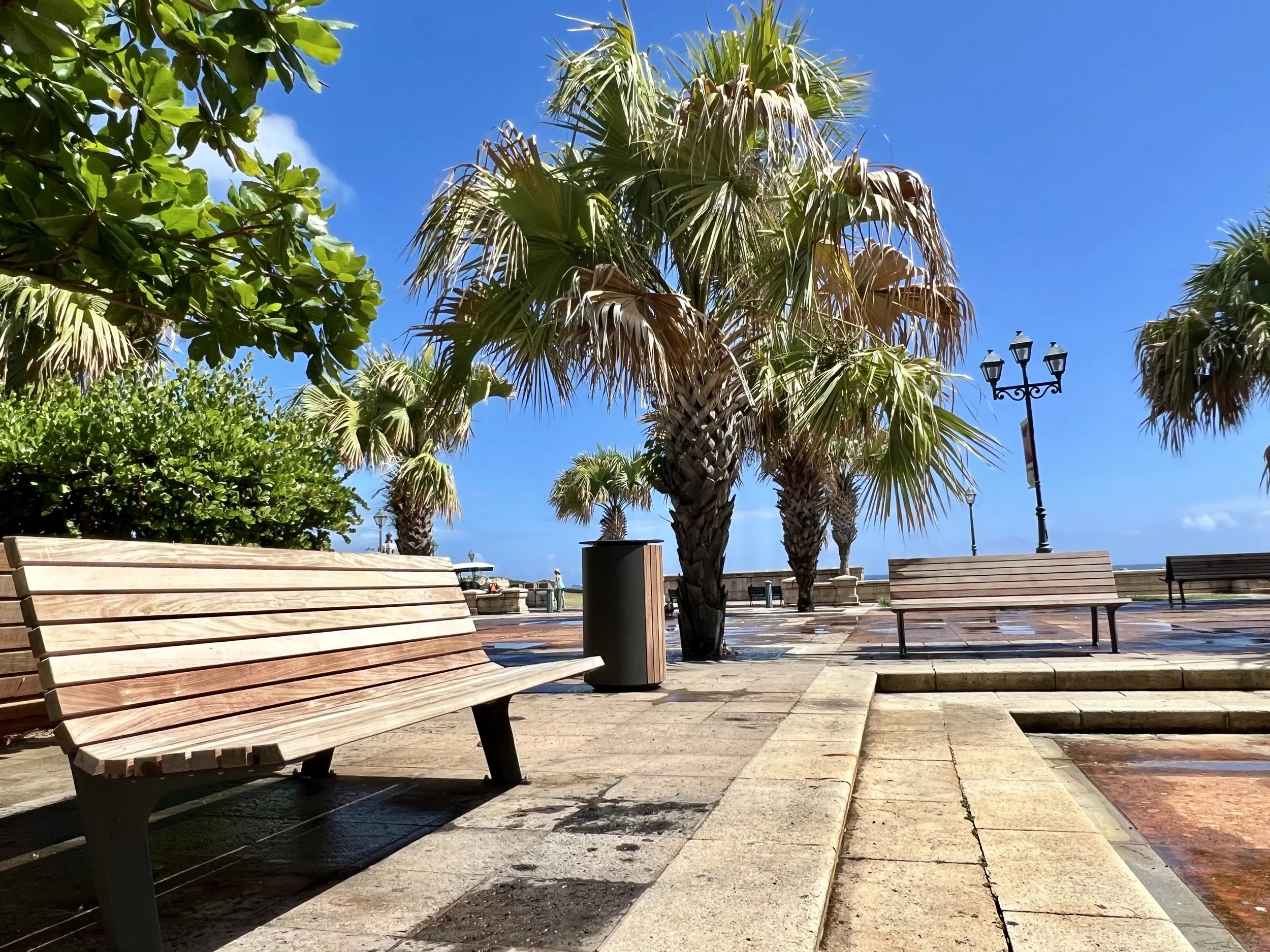 Beachside park with wooden benches, palm trees, green shrubs, street lamps, and a clear blue sky.