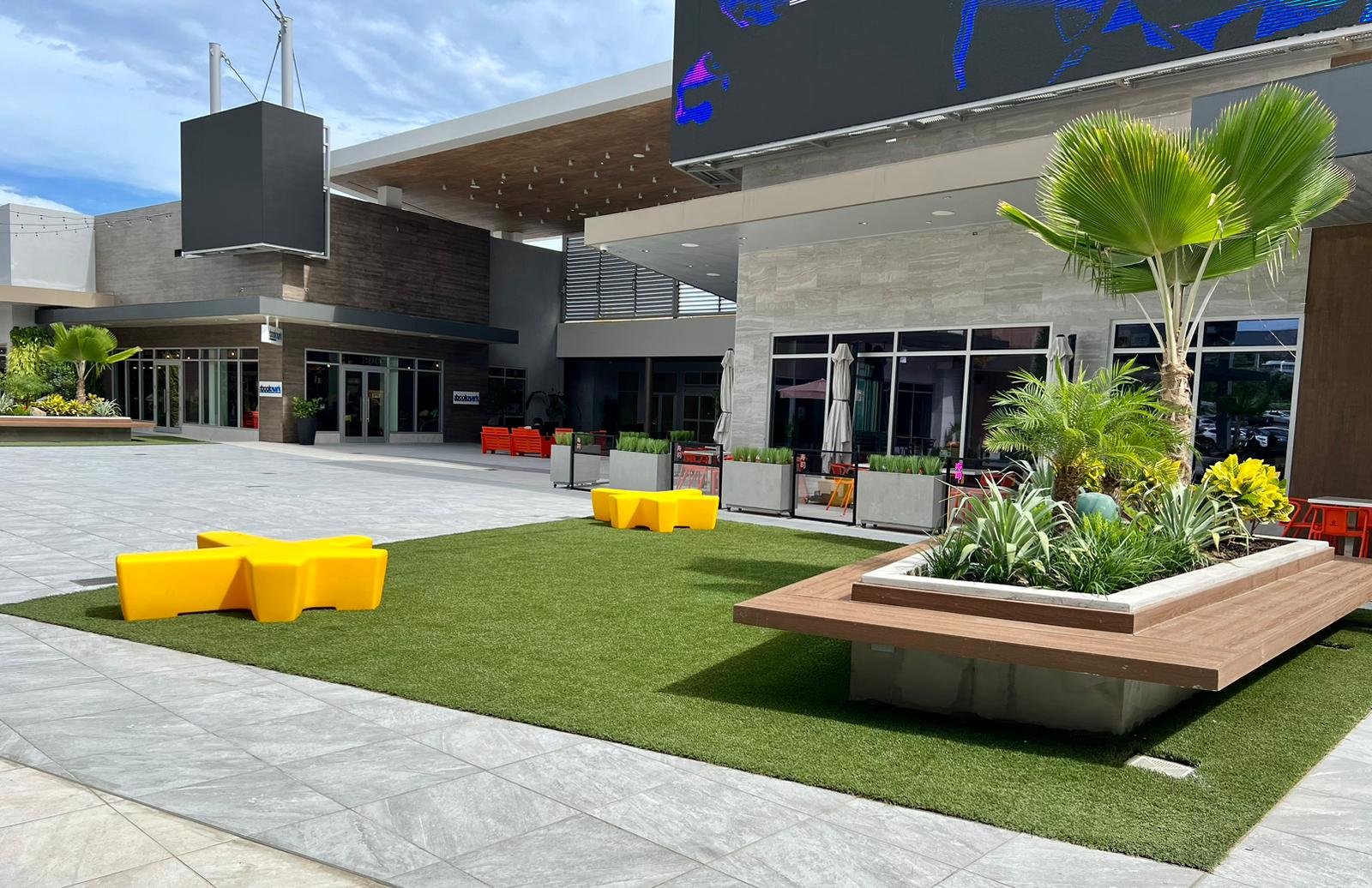 Empty outdoor area with modern building, yellow benches, grass patch, and large planter with tropical plants and palm trees.