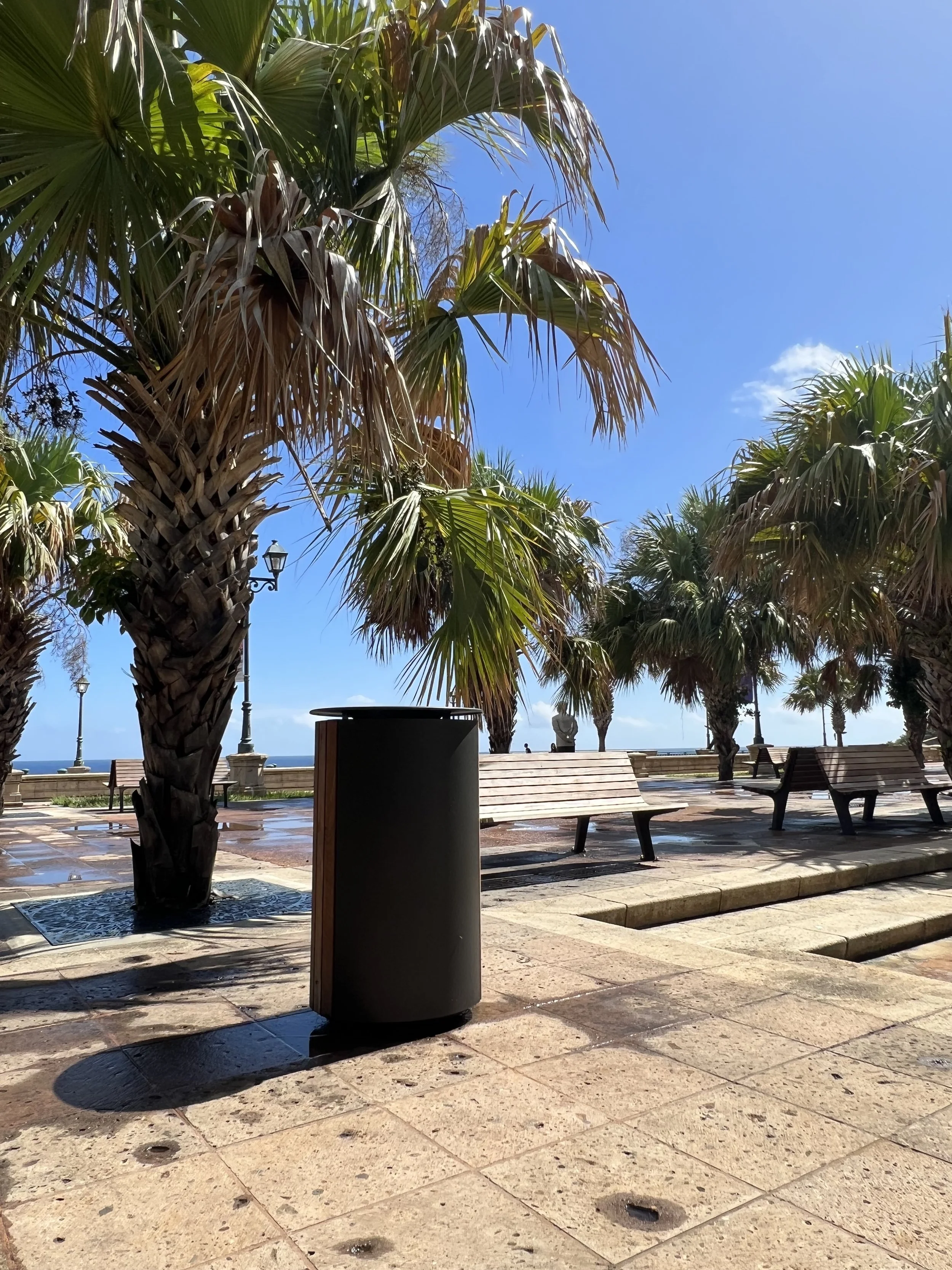 A sunny outdoor park or plaza with palm trees, benches, and a trash can. There are street lamps along the walkway and some puddles on the stone pavement. The sky is clear and blue.
