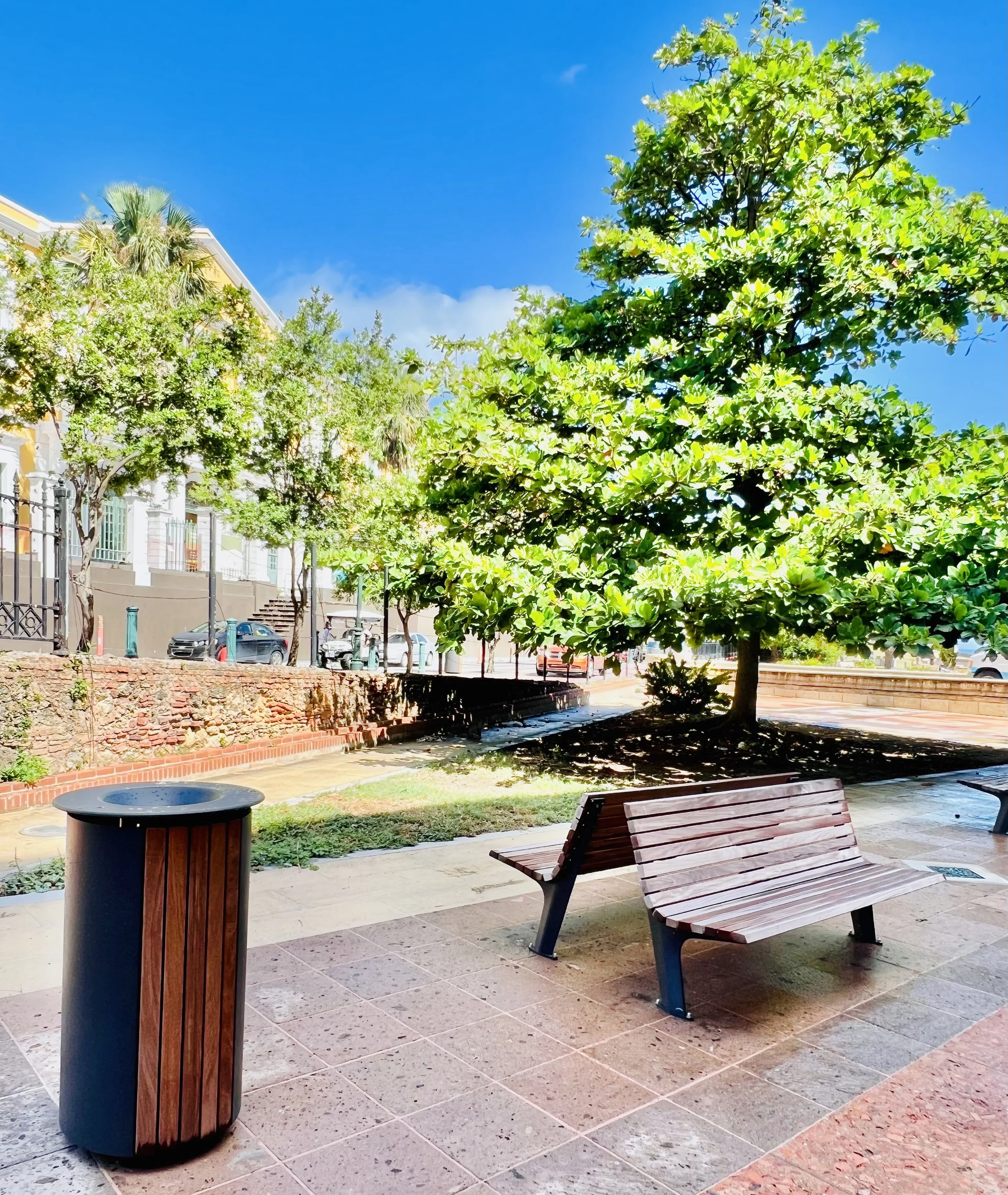 Park with a large tree providing shade, a bench and a trash can on a tiled sidewalk, in front of a street with parked cars, residential buildings, and a clear blue sky.