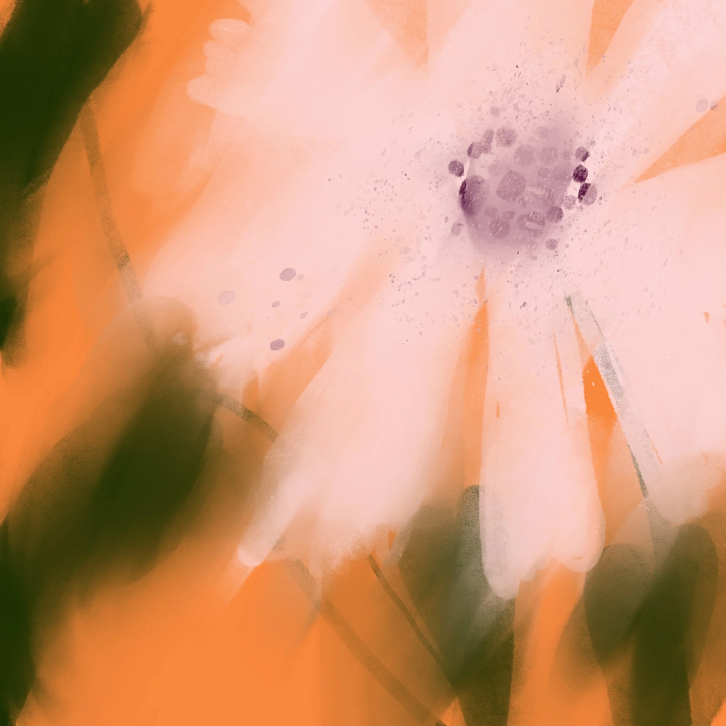 Consolidando un negocio sensible: branding para Bea Schöndube, artista floral.