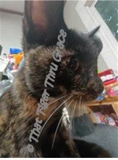 Gracie- Baby aka G- Baby