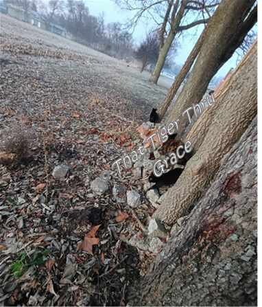 G - Baby with her Pride, the Nemo Pride