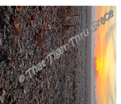 JUST THE FIELD WM.png