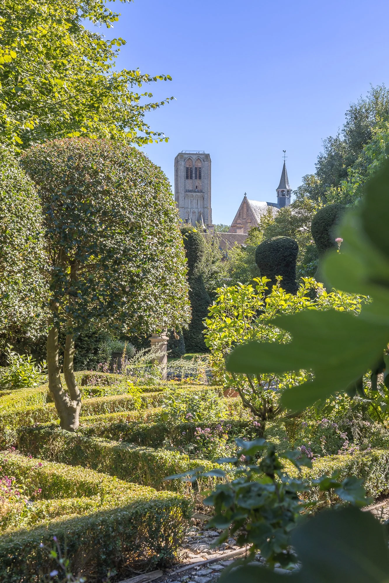 A church tower and steeple visible over a lush garden with trimmed bushes, trees, and flowering plants on a sunny day.