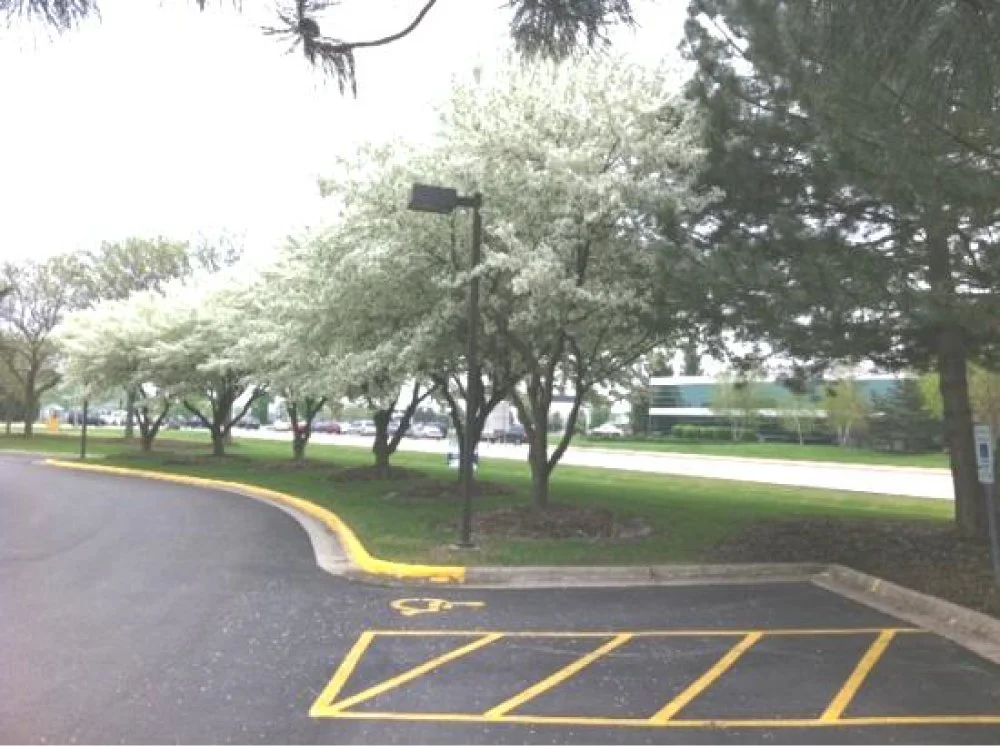 Asset 7Earthscapes.jpg