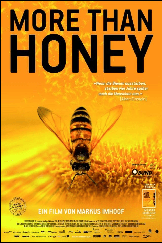 Poster for the film 'More Than Honey' featuring a close-up of a bee on a honeycomb background with bright yellow and orange colors, and text in German and English.