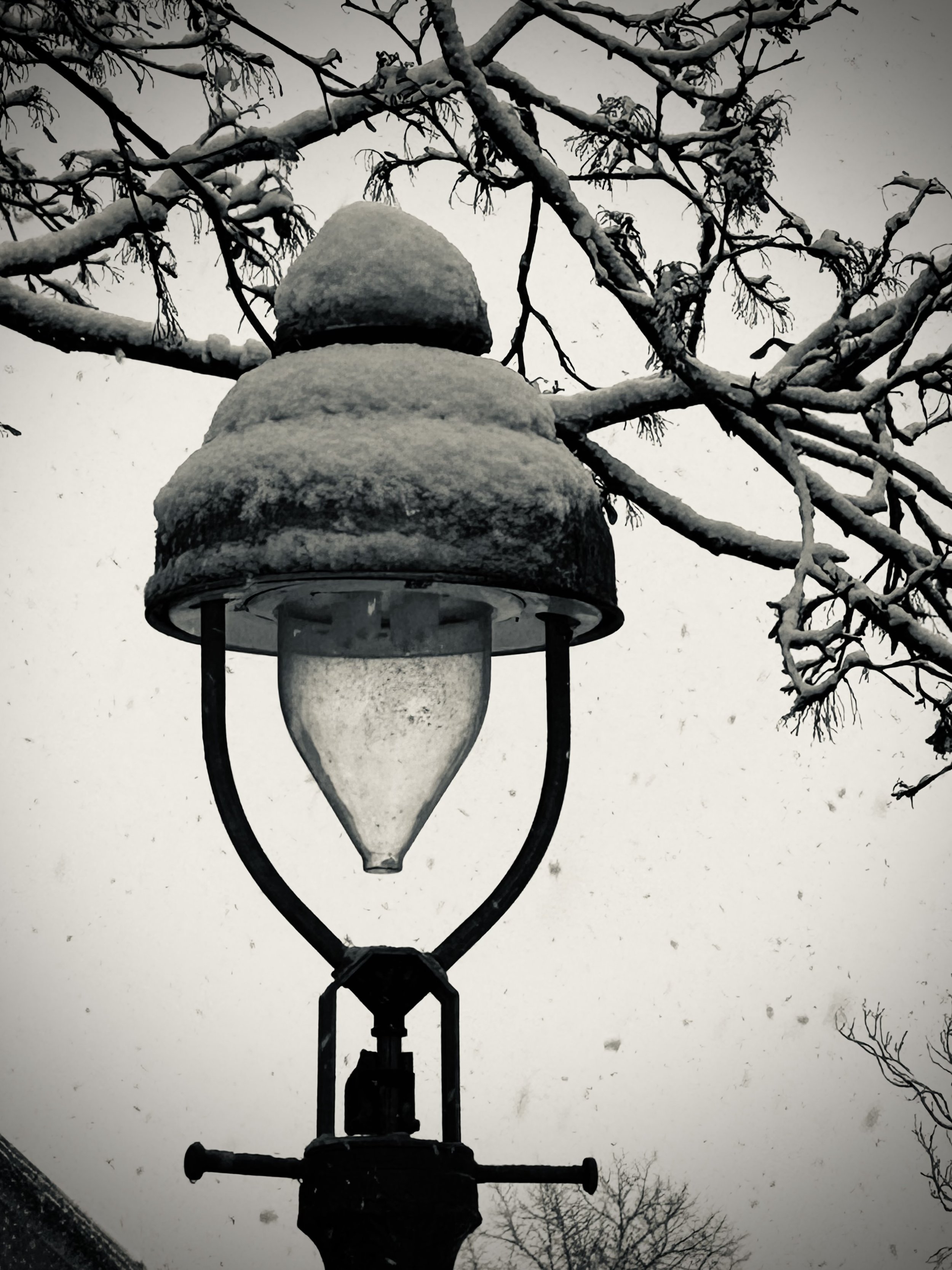 Straßenlaterne im Schnee, umgeben von Schneebedeckten Zweigen, winterliches Ambiente, düstere Stimmung, grau-weißes Wetter, dunkles Lampengehäuse, vereiste Glühbirne.