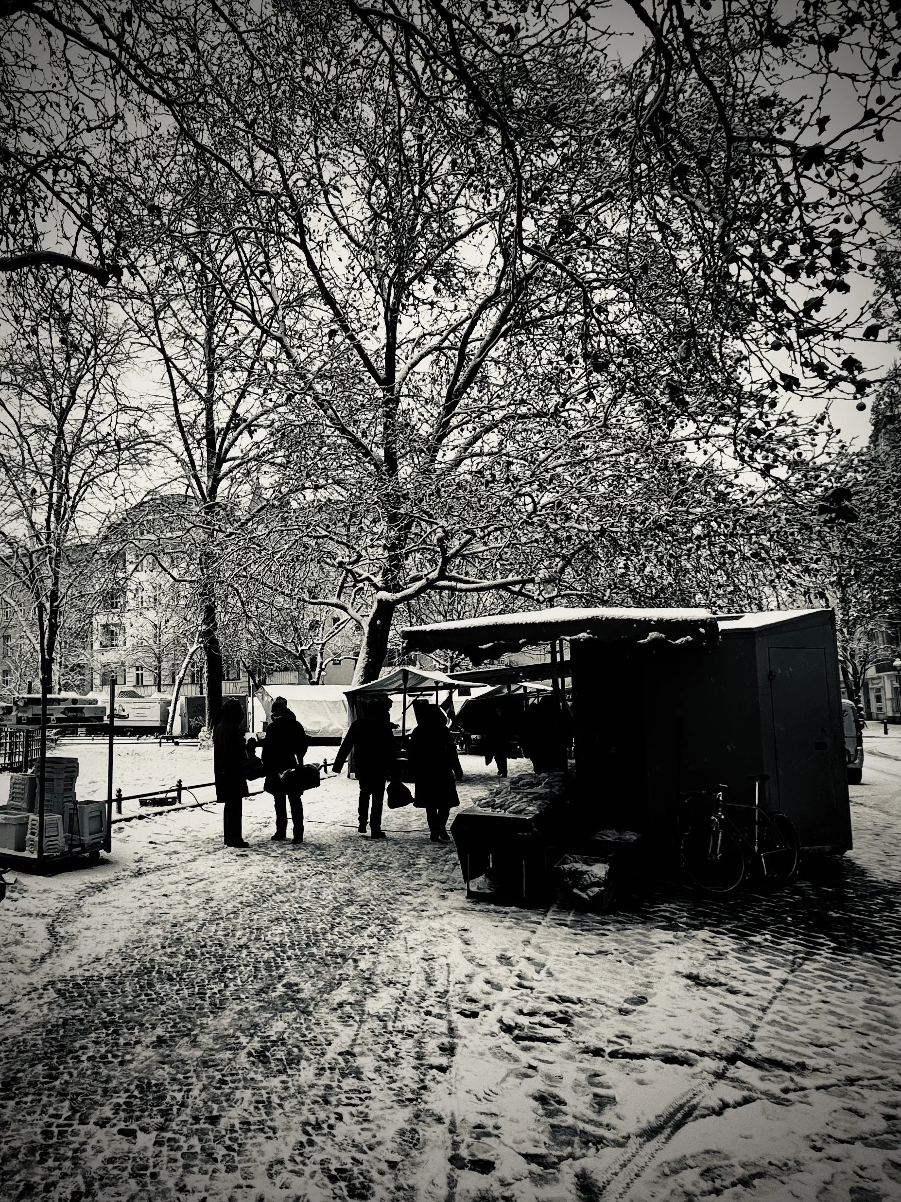 Menschen stehen auf einem verschneiten Markt, umgeben von schneebedeckten Bäumen und Marktständen, im winterlichen Stadtpark.