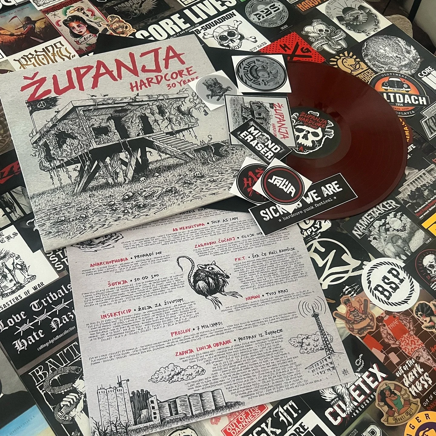 A table covered with various punk and alternative music stickers, patches, and flyers, including a vinyl titled 'ŽUPANJA HARDCORE 30 YEARS' with illustrations of a dilapidated house and a rat, alongside a red vinyl record and other graphic materials.