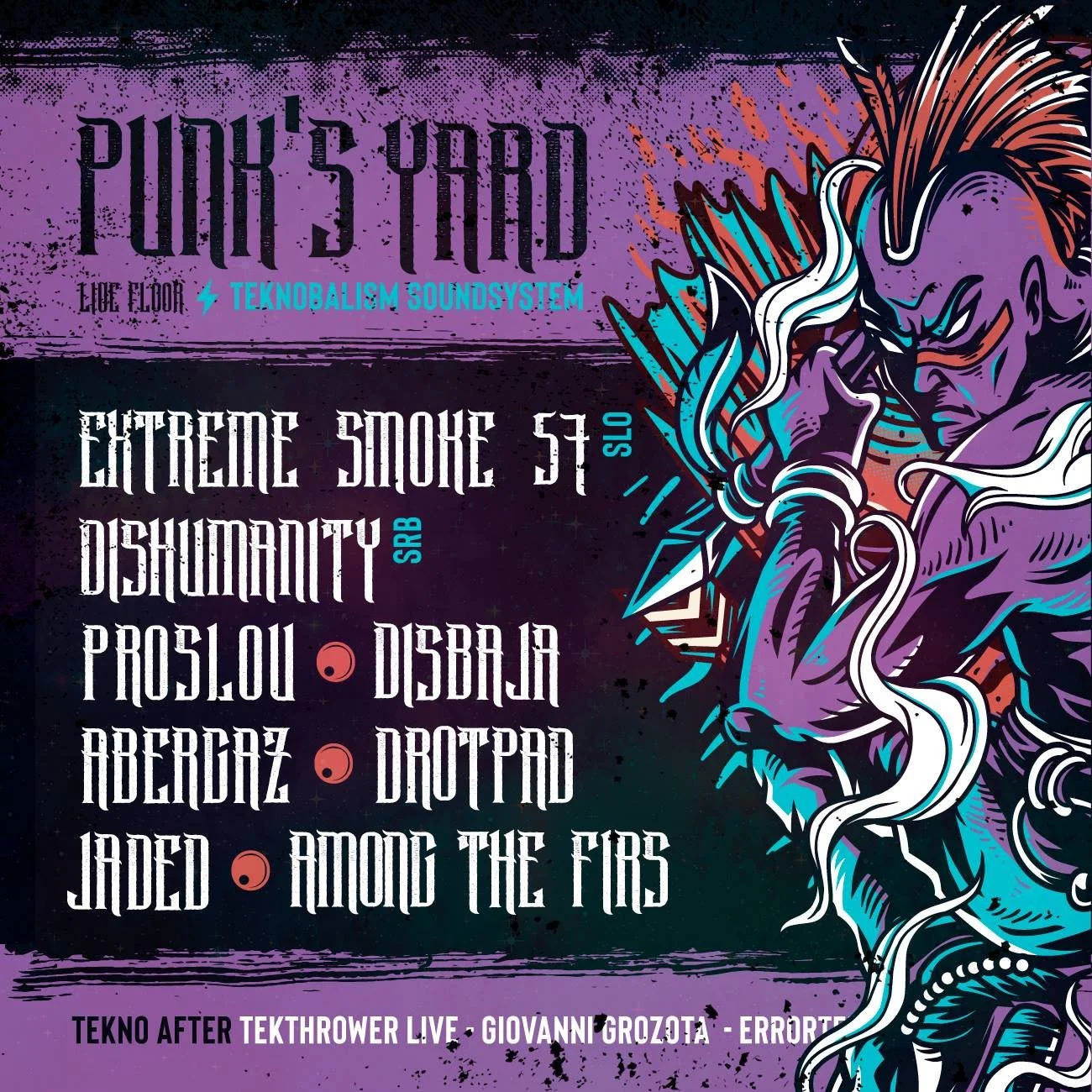 A promotional poster for PUNK'S HARD music event with vibrant colors, a stylized illustration of a punk with a mohawk and graffiti-style text.