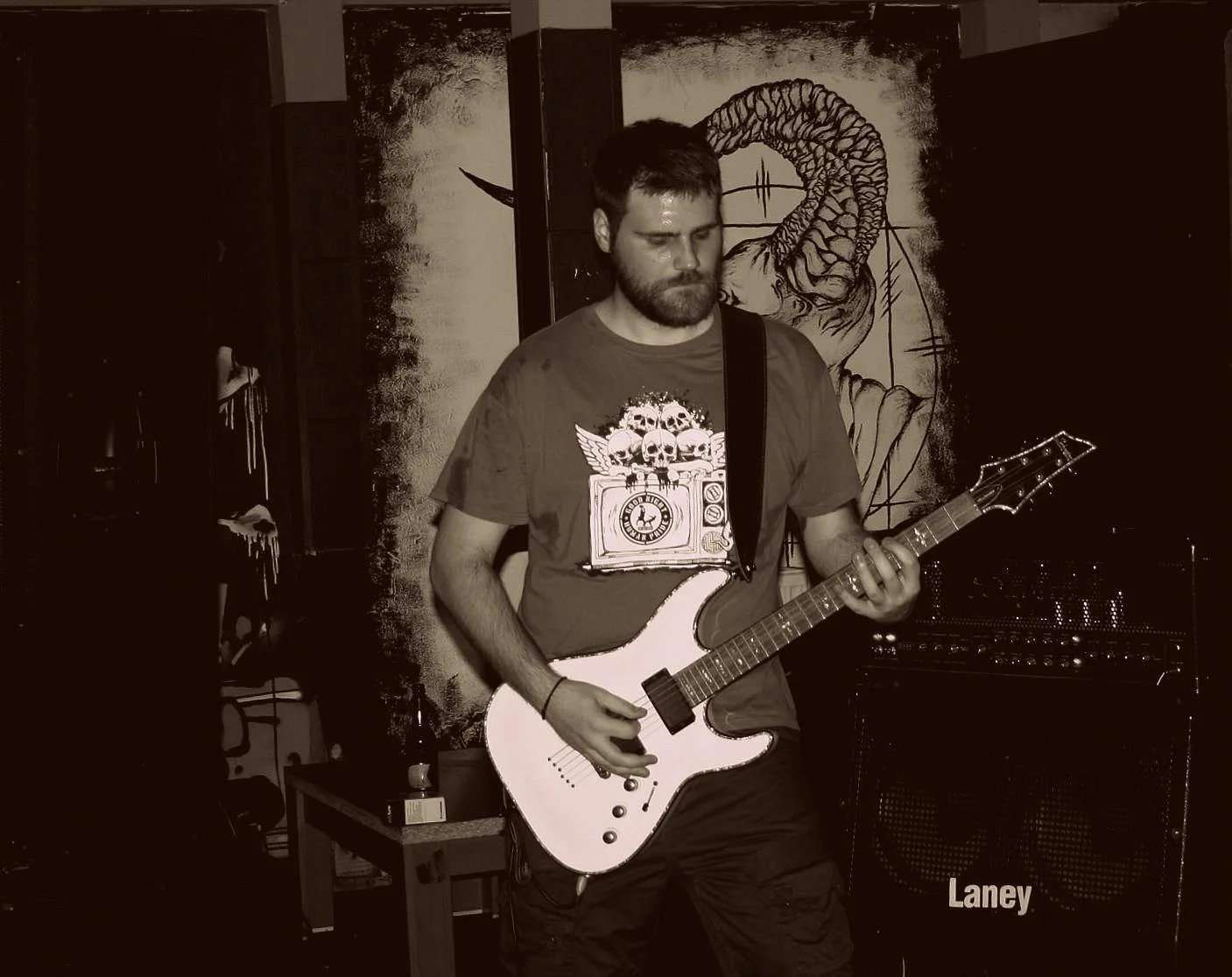 A man with a beard playing an electric guitar in a dimly lit room, with a painted mural of a snake on the wall behind him and an amplifier labeled 'Laney' beside him.
