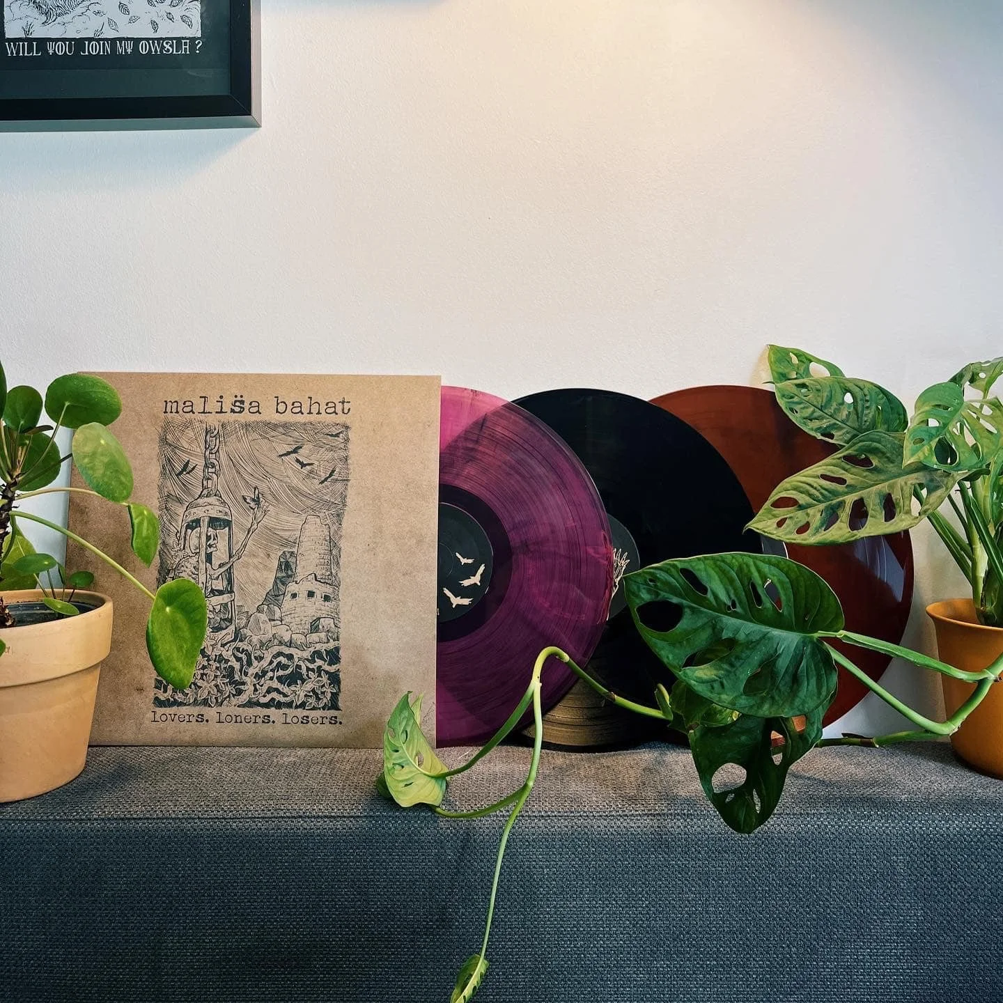 A collection of plants, including a coin pot with a plant, a green vine, and a large Monstera, arranged on a table with vinyl records and a framed artwork on a white wall in the background.