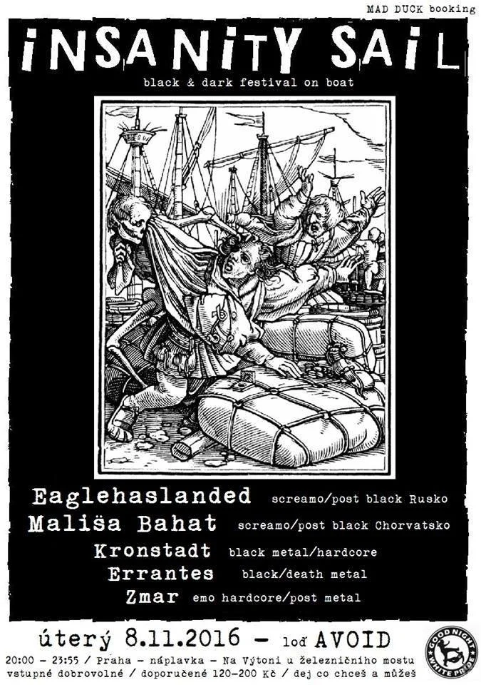 A poster advertising a music event titled "INSANITY SAIL," a black and dark festival on a boat. The poster features a detailed black-and-white illustration of a pirate ship with pirates fighting on the deck. The event is scheduled for November 8, 201