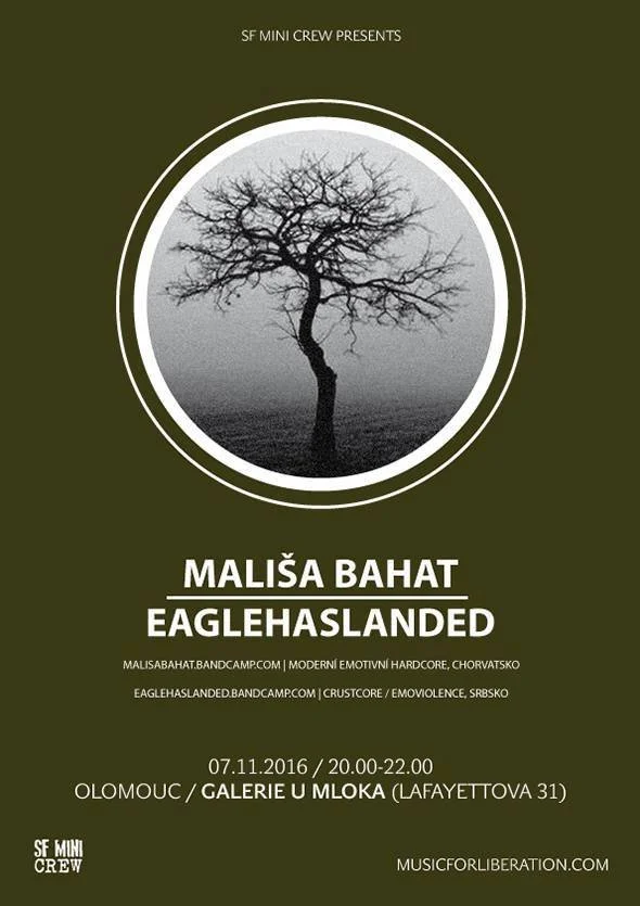 Event poster with a black and white photo of a leafless tree in the center, set against a gray sky. The poster has an olive green background with white text promoting a music event featuring Mališa Bahat at Galerije u MlokA in Olomouc on November 7, 