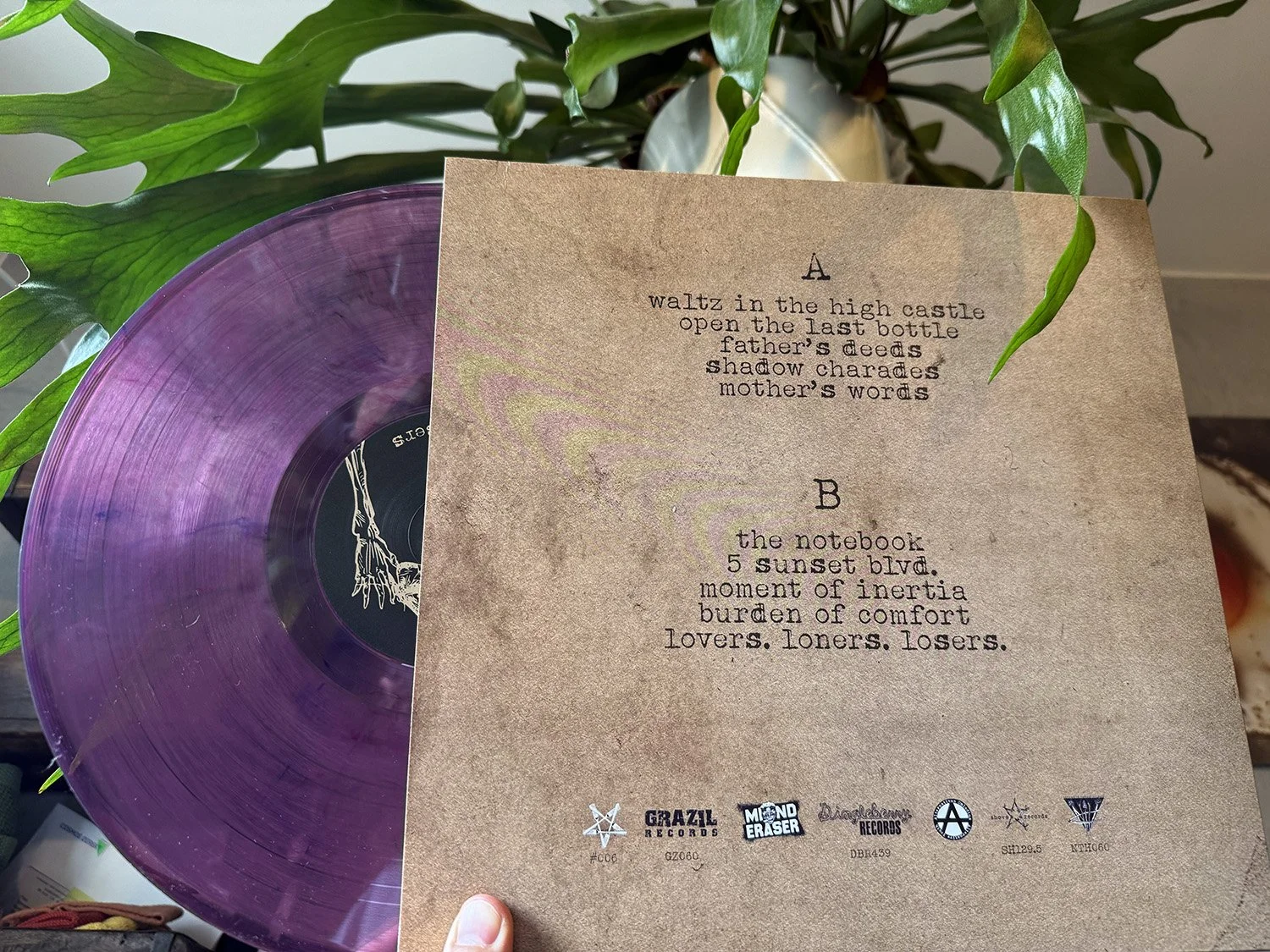 A purple vinyl record partially covered by a textured brown paper sheet with song lyrics printed on it, placed in front of a leafy green plant.