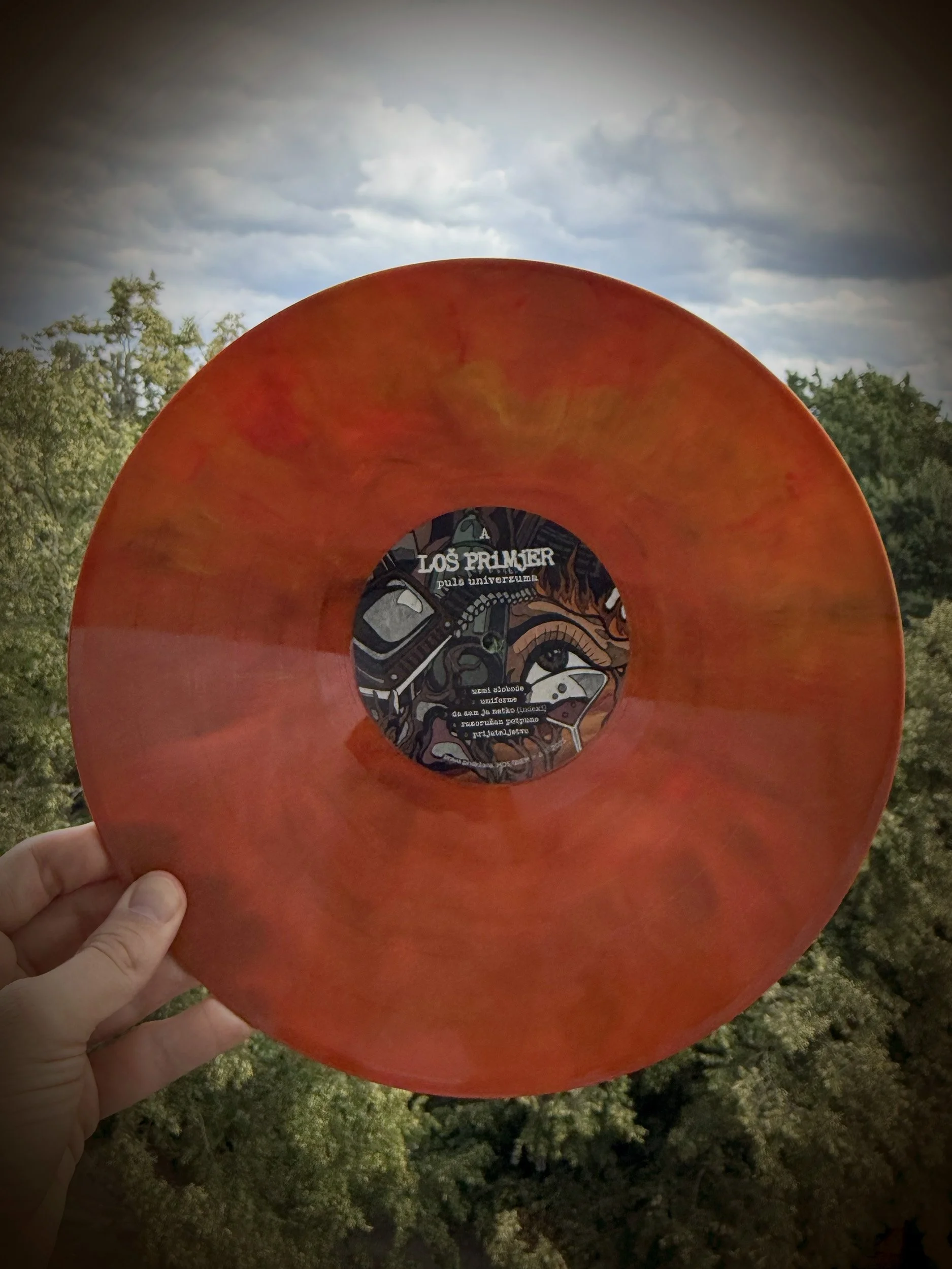 Photo of a person holding a red vinyl record with a black and white graphic label in front of a dark, cloudy sky and trees.