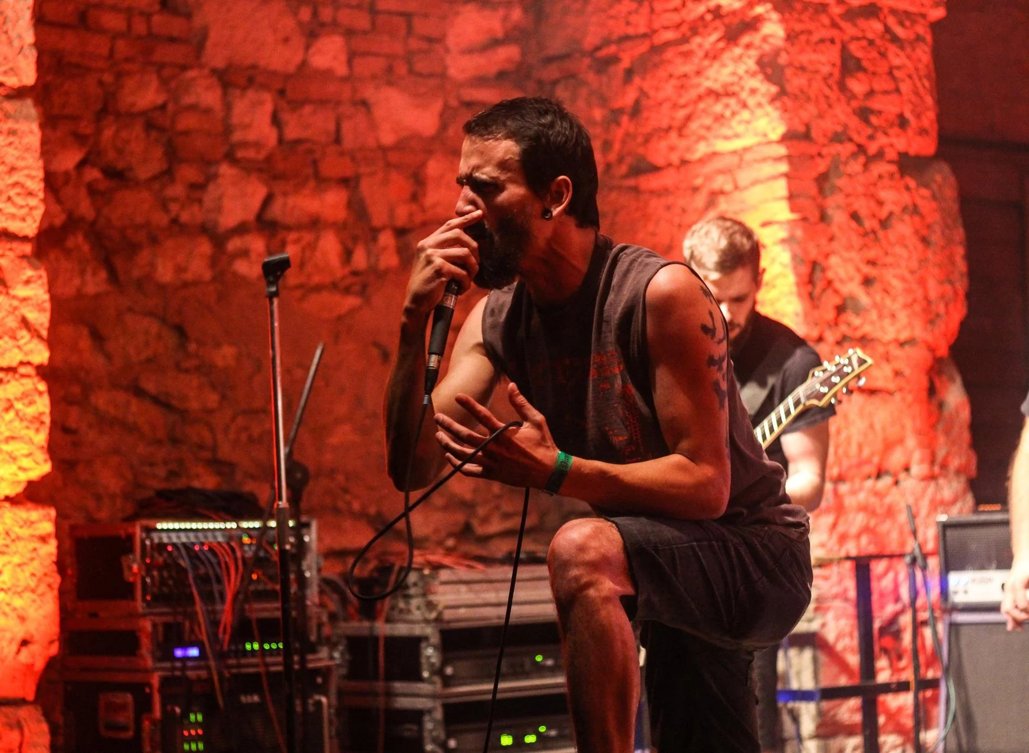 A man with short dark hair, tattoos on his arm, wearing a sleeveless shirt, is singing into a microphone on stage with a red brick wall background. In the background, a person playing guitar and music equipment are visible.