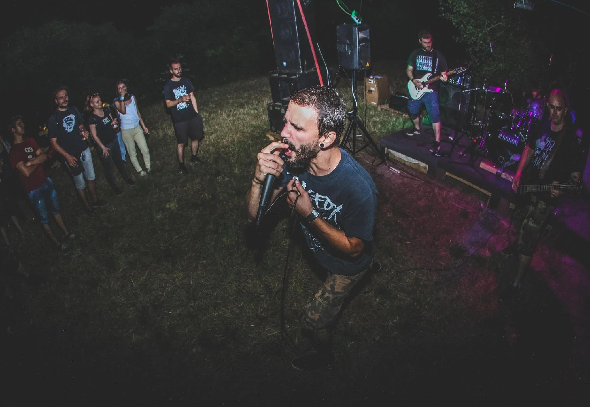 A man singing into a microphone during an outdoor concert at night, with a band playing instruments on a stage behind him and a small crowd gathered on a grassy area.