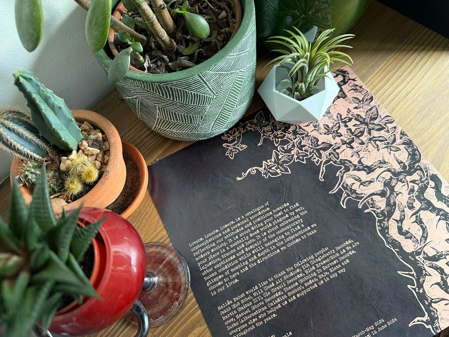 Several potted plants, including cacti and succulents, are arranged on a wooden surface with a decorative black and pink paper or cloth featuring white text and illustrations of tree roots.