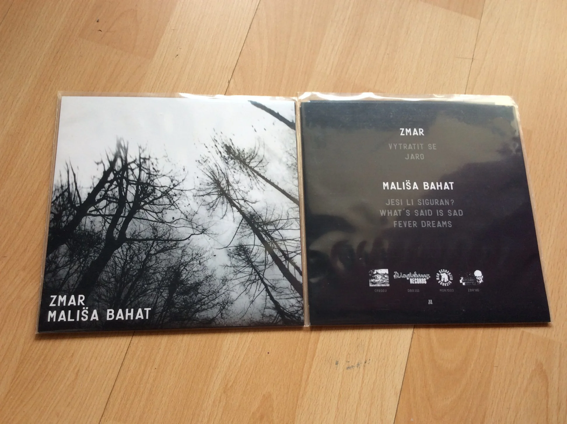 Two vinyl records in clear plastic sleeves on a wooden surface. The left one features a black and white image of leafless trees against a cloudy sky. The right one has a dark background with text in multiple languages and logos at the bottom.