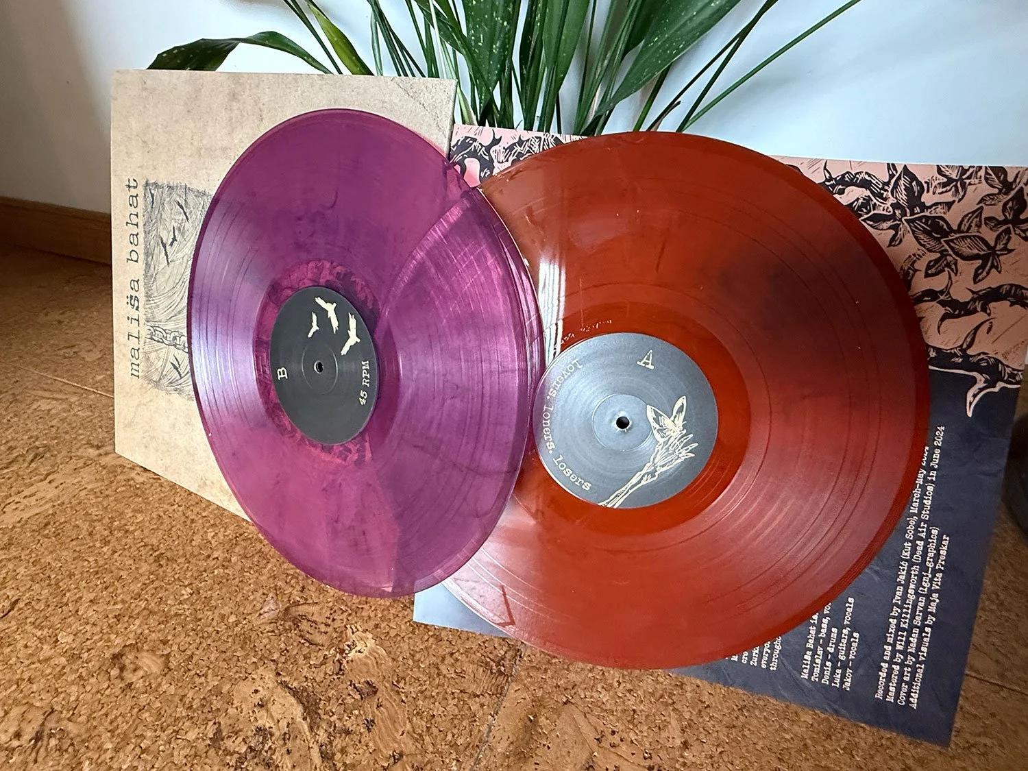 Two colorful vinyl records, one purple and one orange, resting on a sheet with texts and illustrations, with a plant in the background.