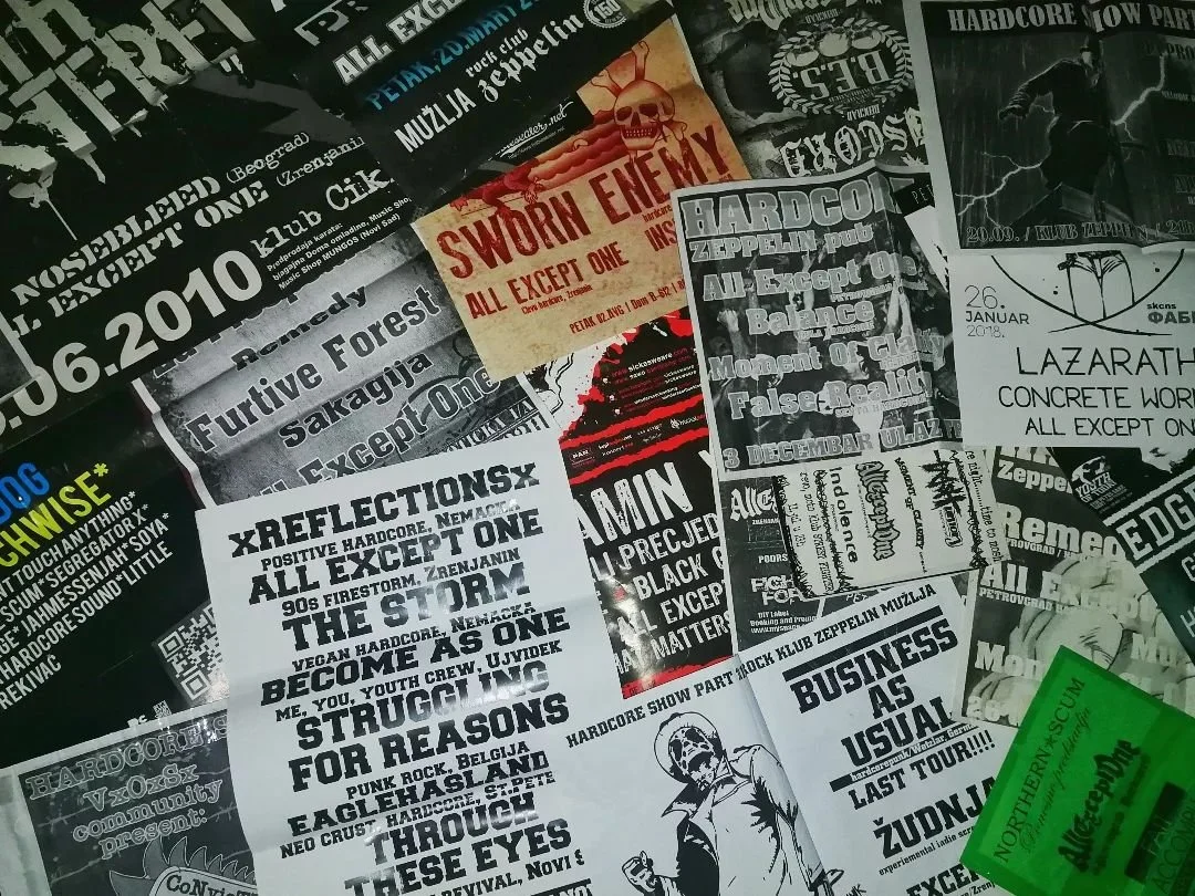 Collage of black and white and colored concert flyers and posters for hardcore punk events, bands, and shows from 2010 and 2018, including date and location details.