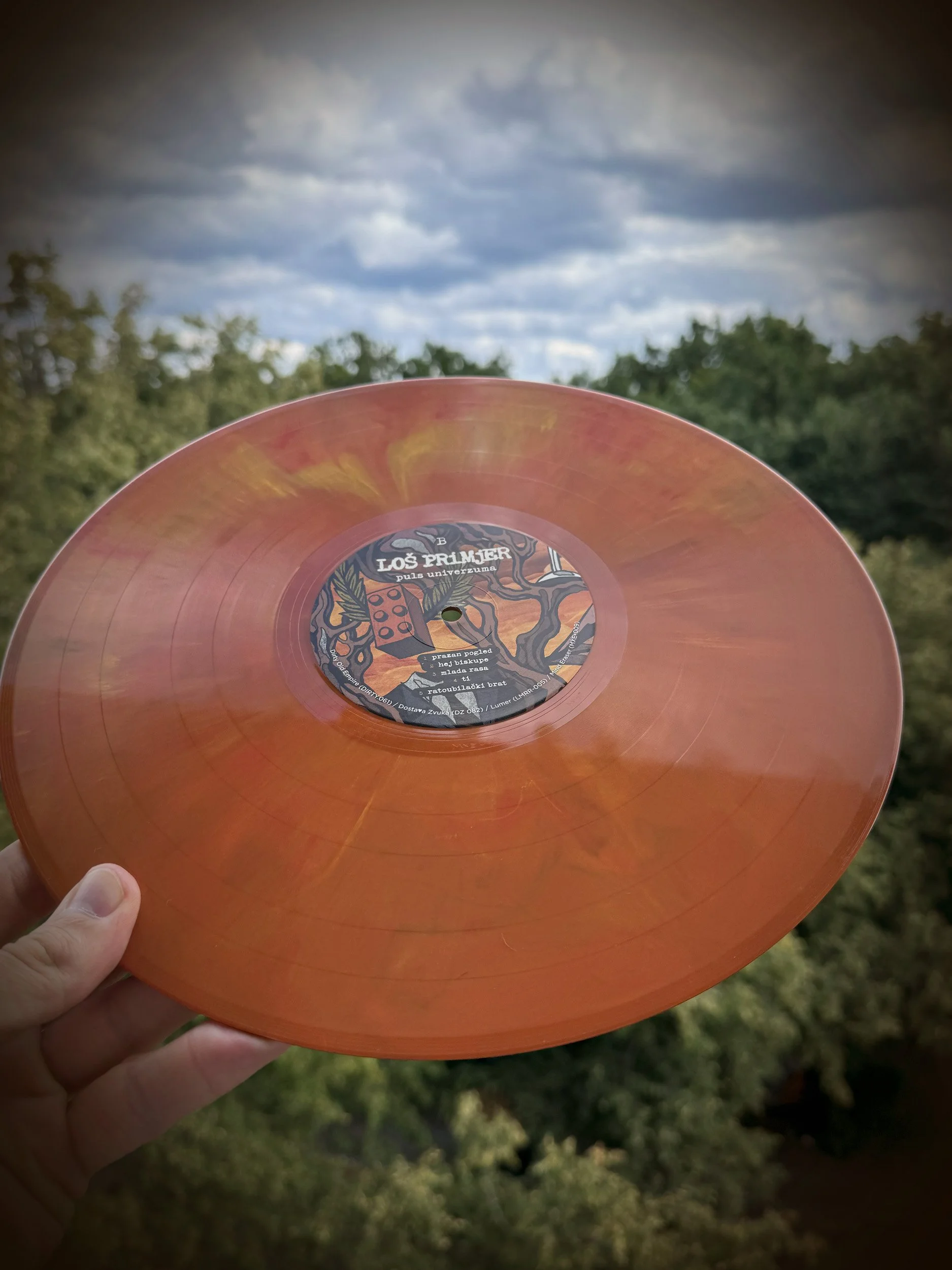 Pink vinyl record with labeled center, held up outdoors against a cloudy sky and trees in the background.