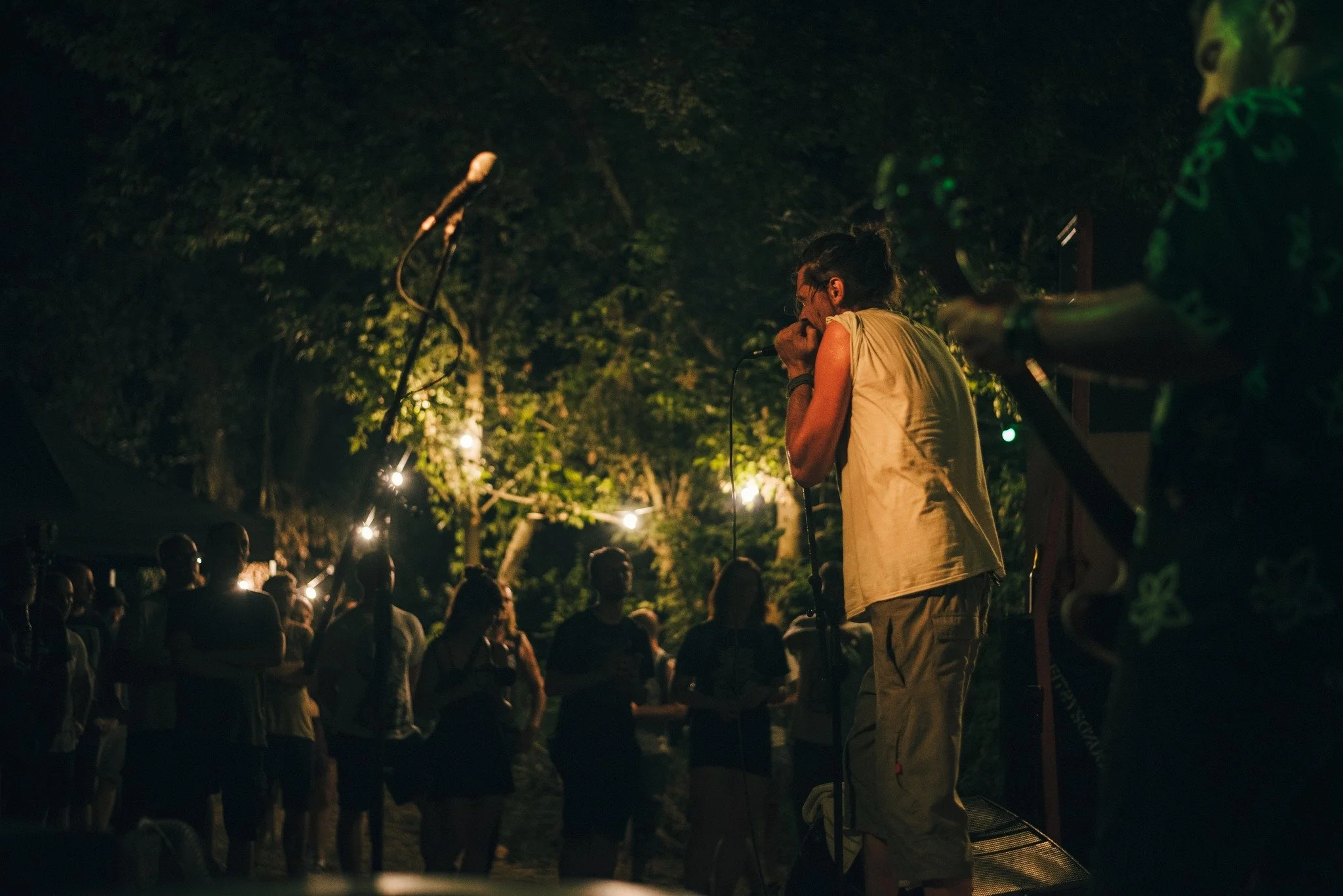 A person performing in front of an audience outdoors at night, with onlookers watching under streetlights and trees.
