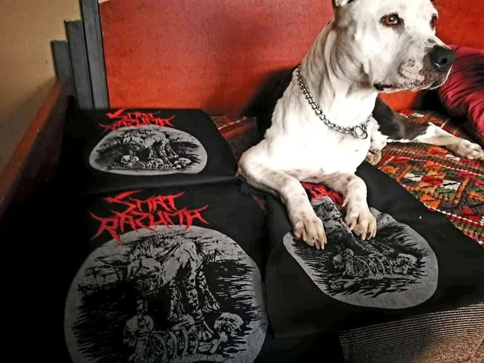 A dog lying on a bed with a black Slayer bandana featuring artwork and logo.