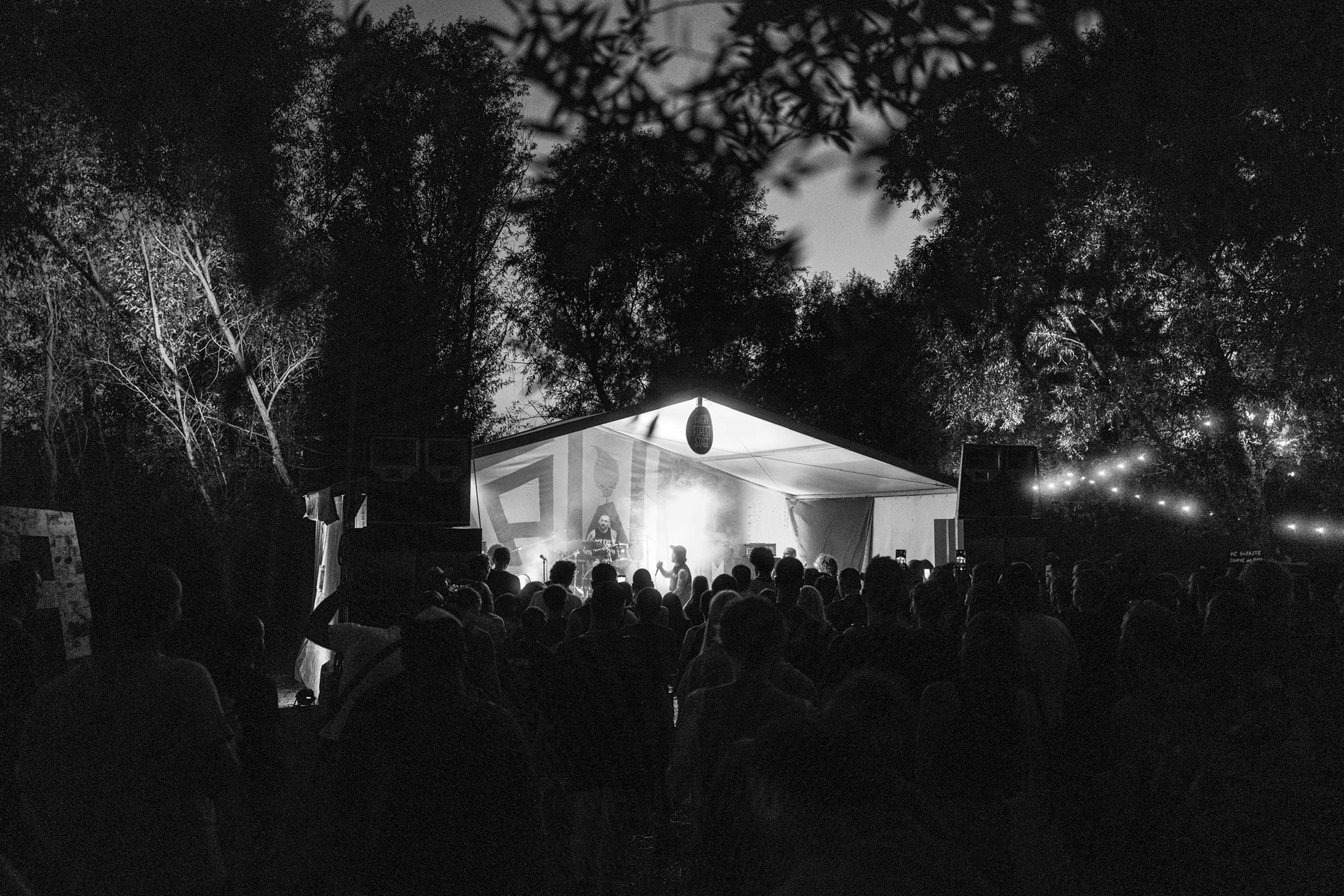 Nighttime outdoor concert with a crowd of people, stage with a musician playing guitar, surrounded by trees with leaves and branches, illuminated by stage lights.